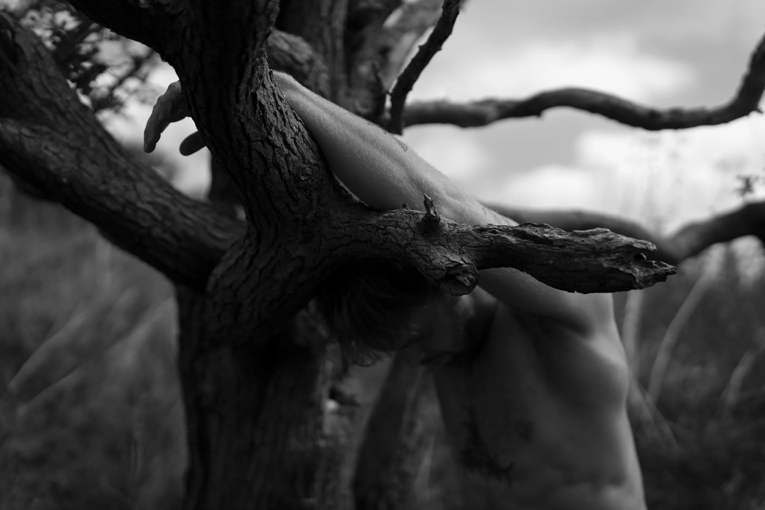 untitled-9.jpg