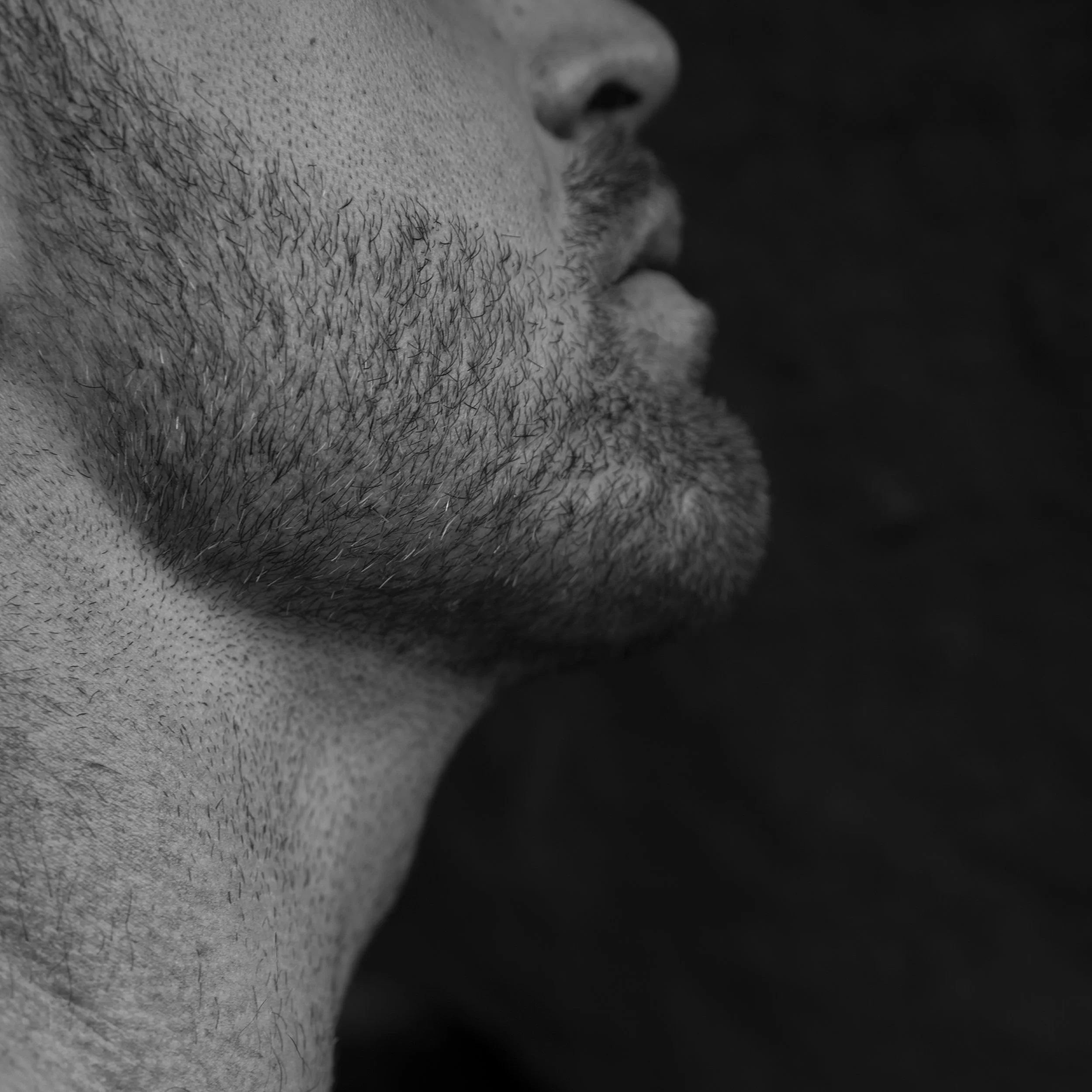 untitled-19.jpg