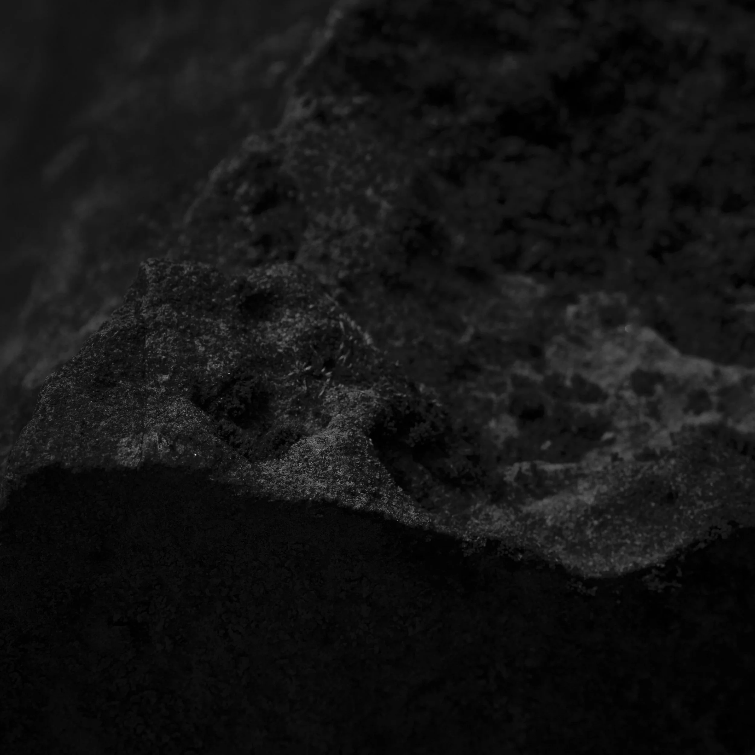 untitled-22.jpg