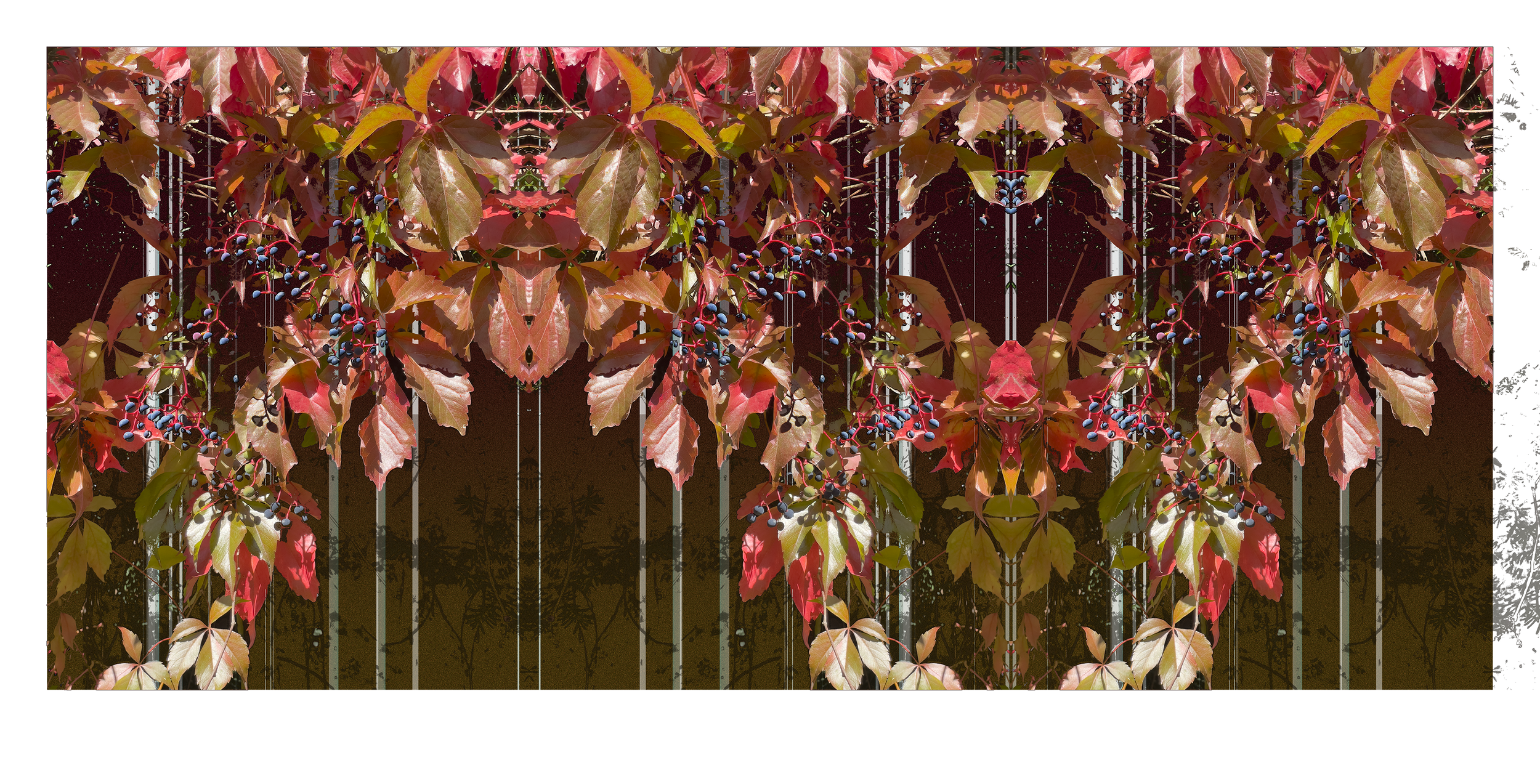 willie & the poor boys