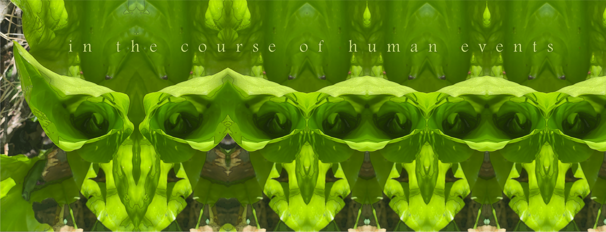 in the course of human events