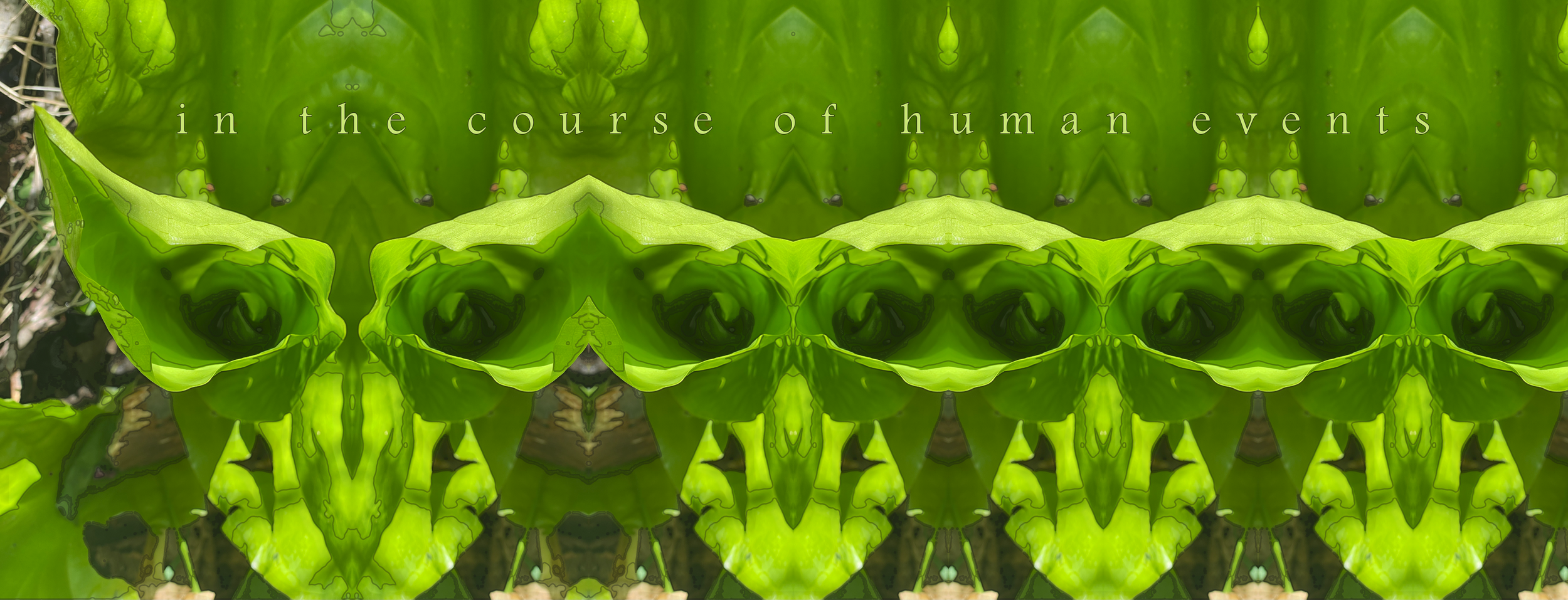 in the course of human events