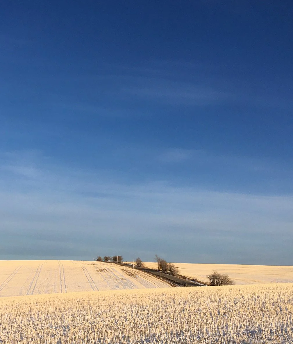 -40C