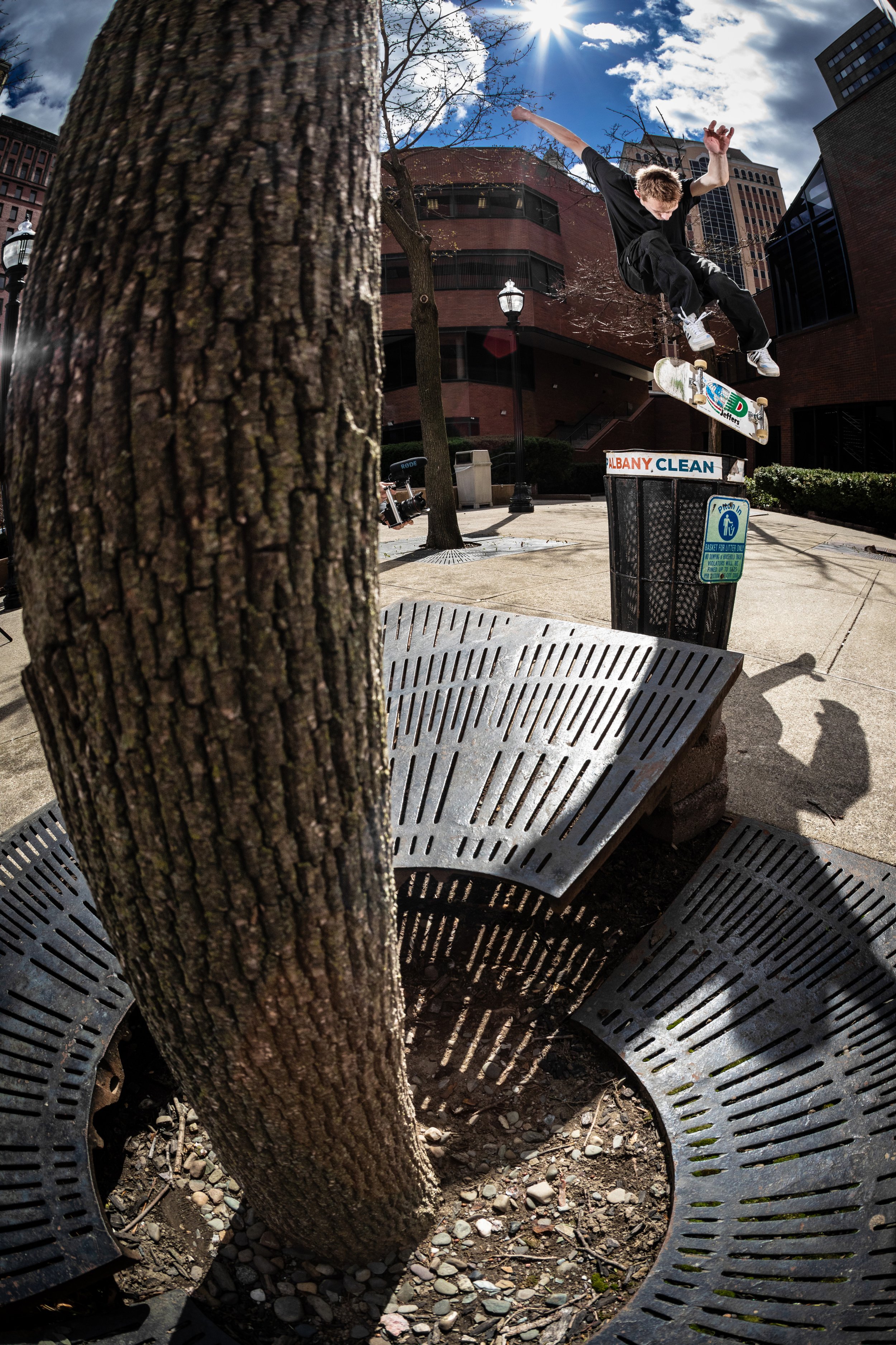 albany-3-web.jpg