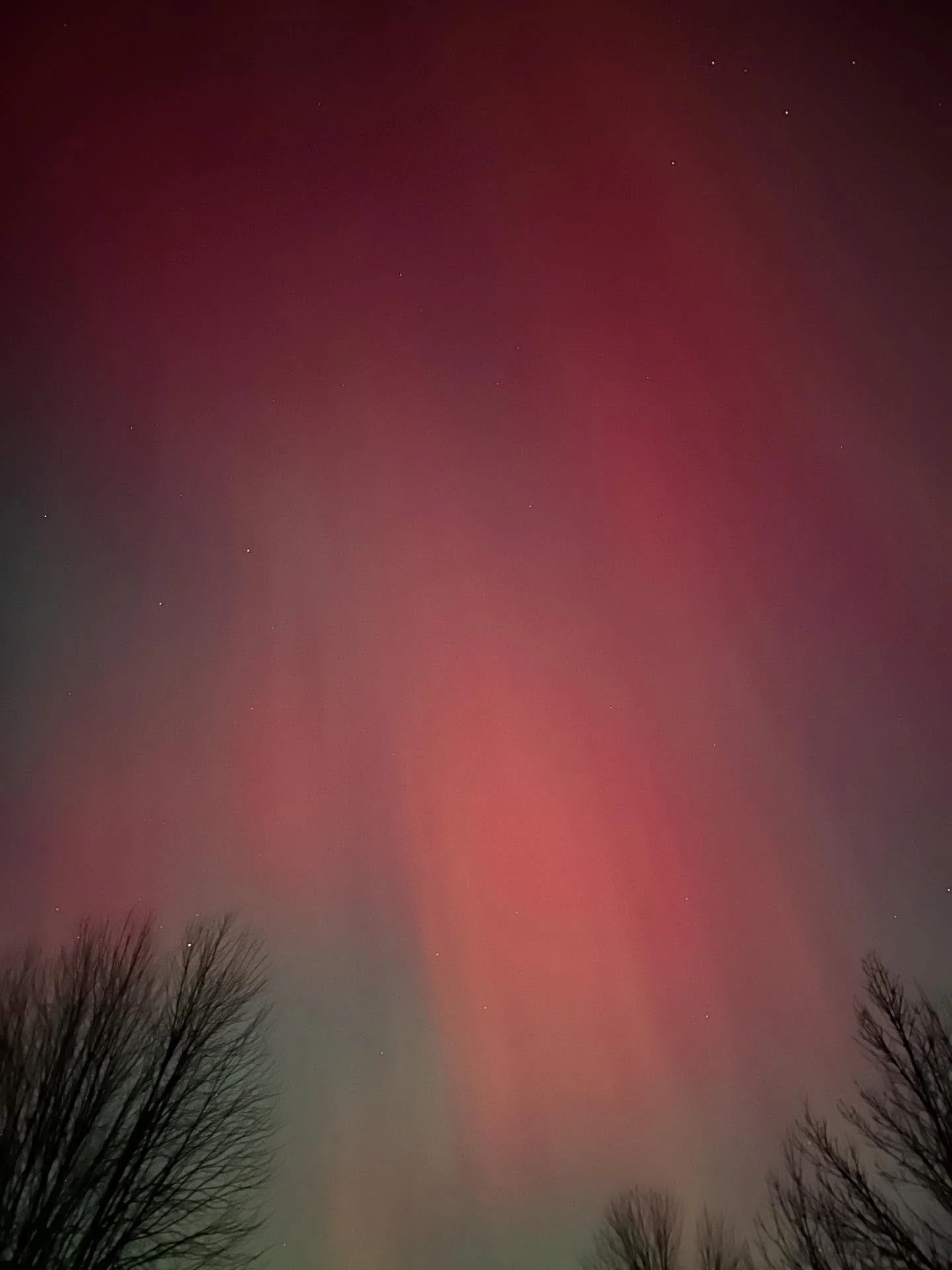 And the Northern Lights get better and better 💙 so grateful for this!!
.
.
.
.
.
.
#nofilter #northernlightsphotos #northernlights #auroraborealis #northernlightsmn