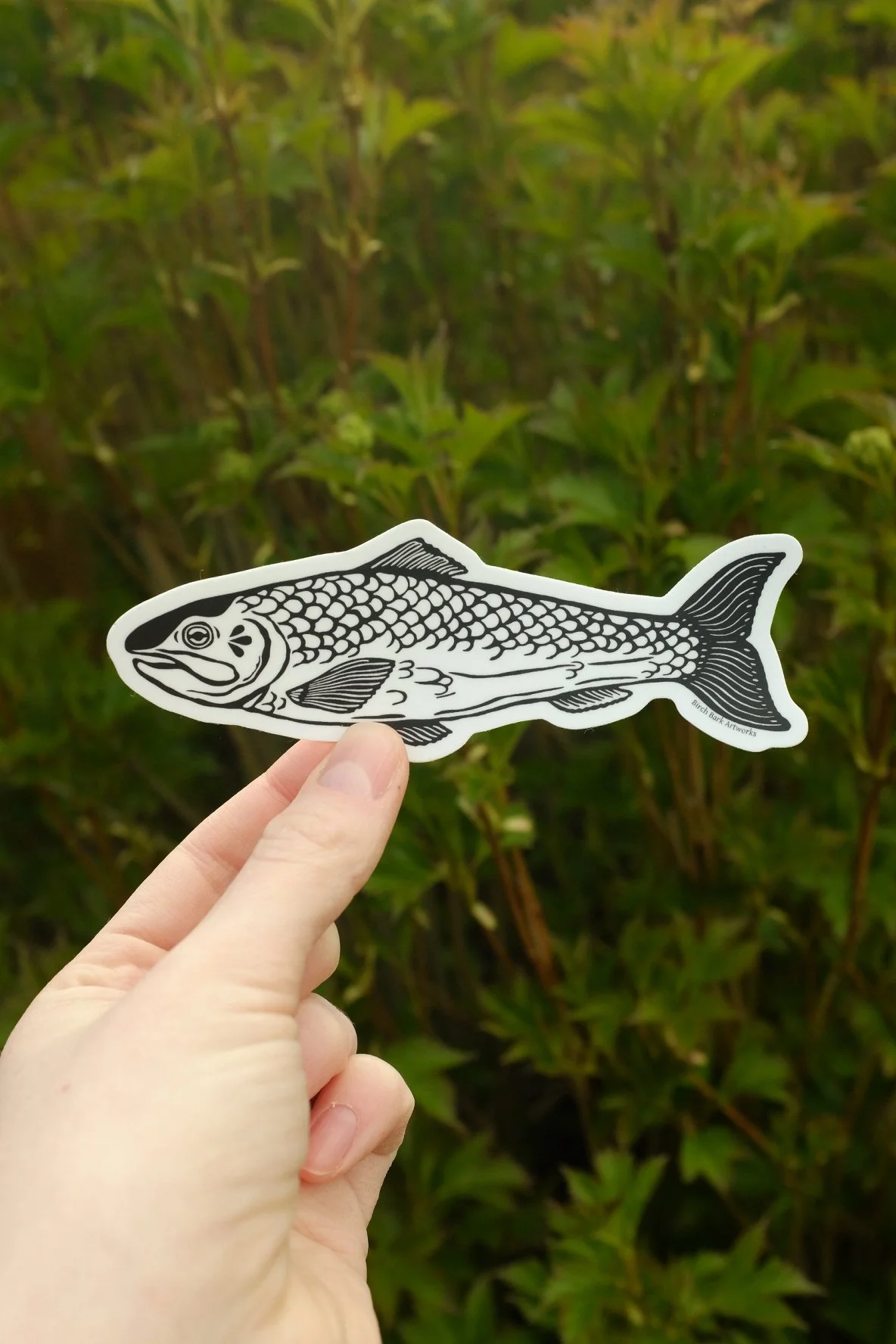 Fish Sticker