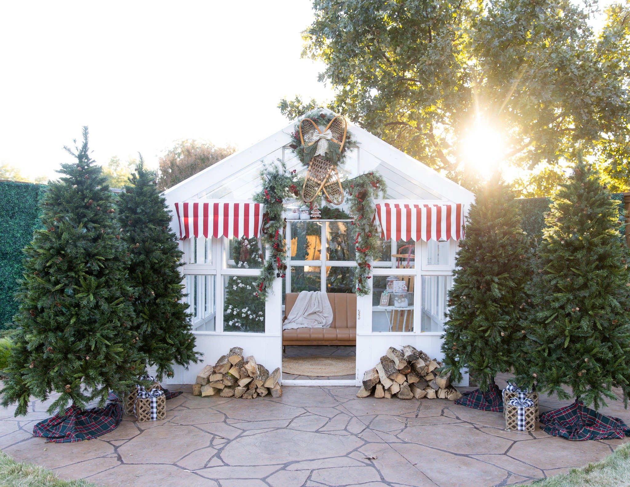 Mini Sessions - Holiday Greenhouse