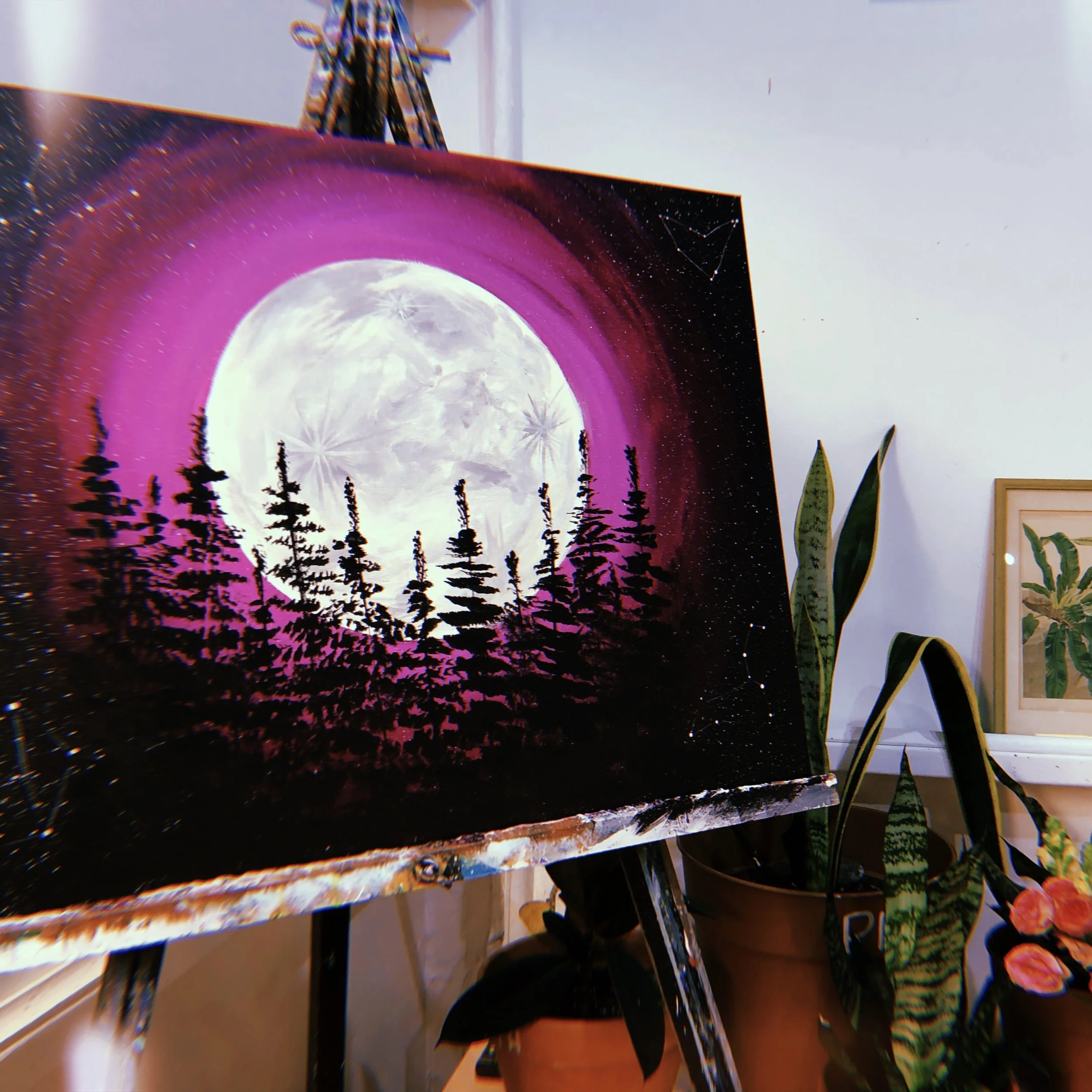 2019-01-20 16:16:14.306.jpeg