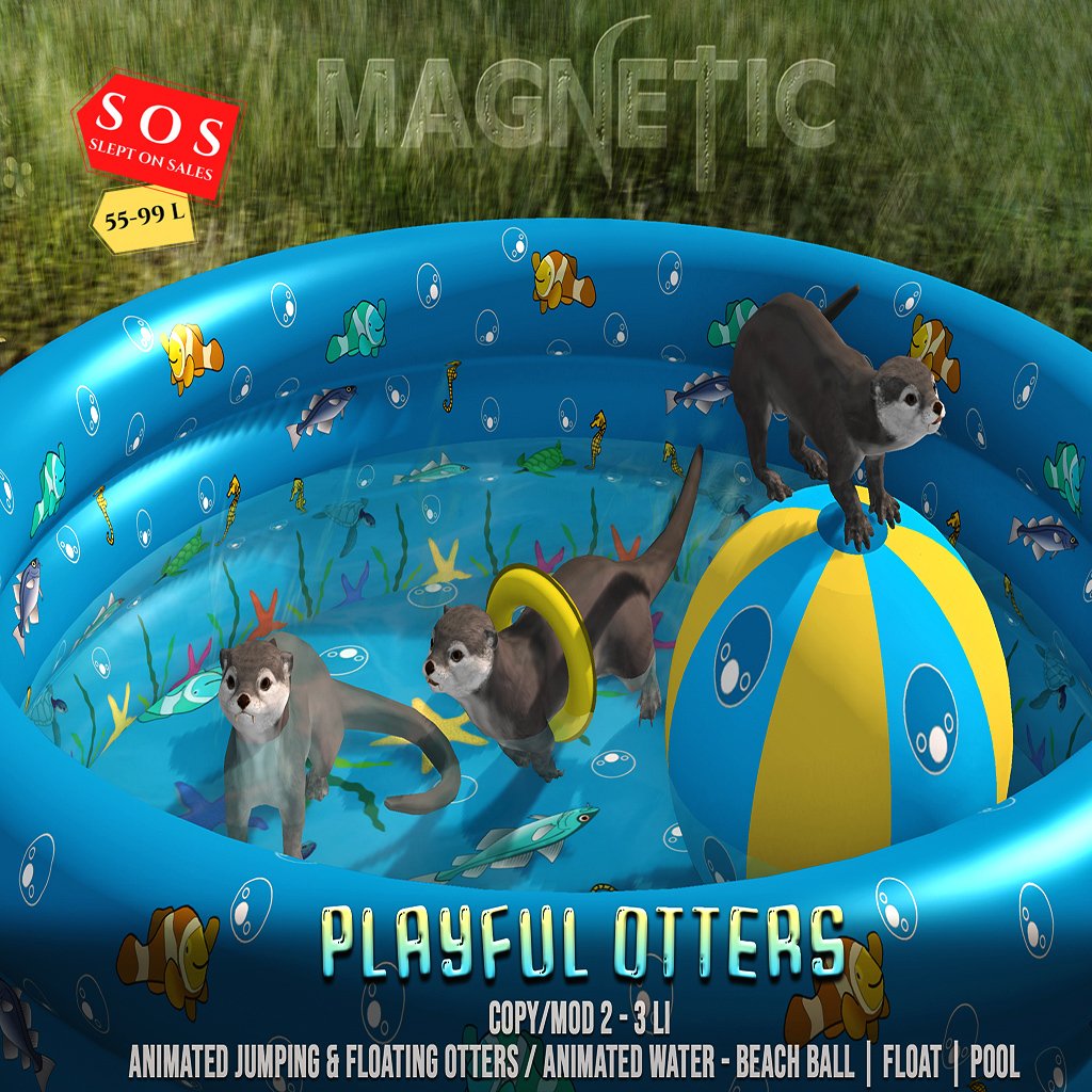31.a Magnetic _ Playful Otters.jpg