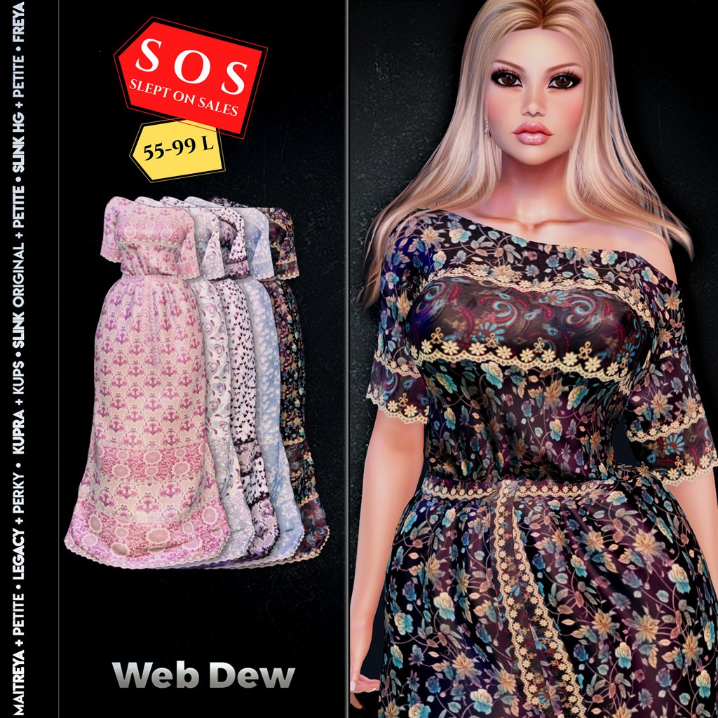 12.a Web Dew_  Long Dress- Boho.jpg