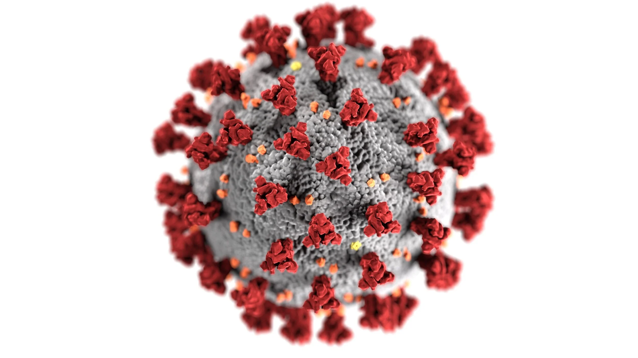concept image of a COVID-19 virus