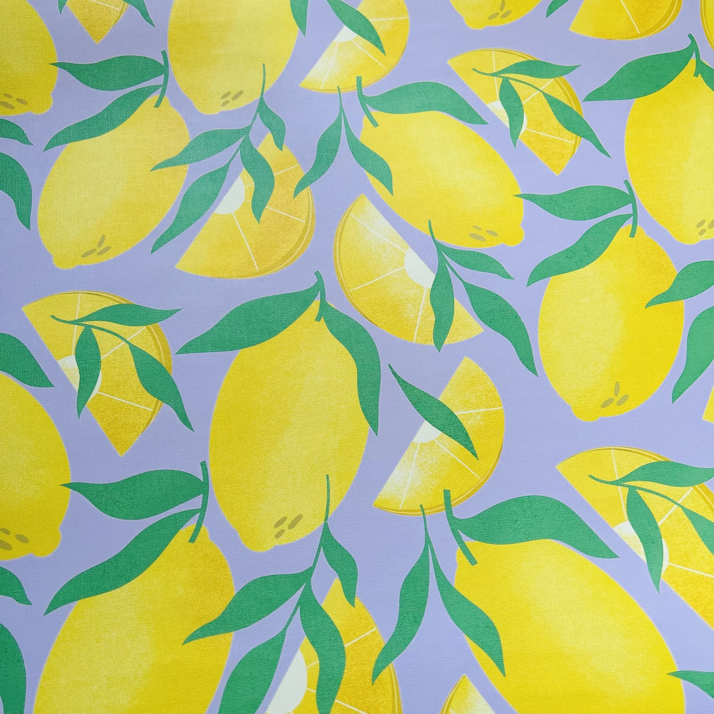 70790942383__393D56C6-056A-4D19-964A-976EAED95F6D copy.jpg