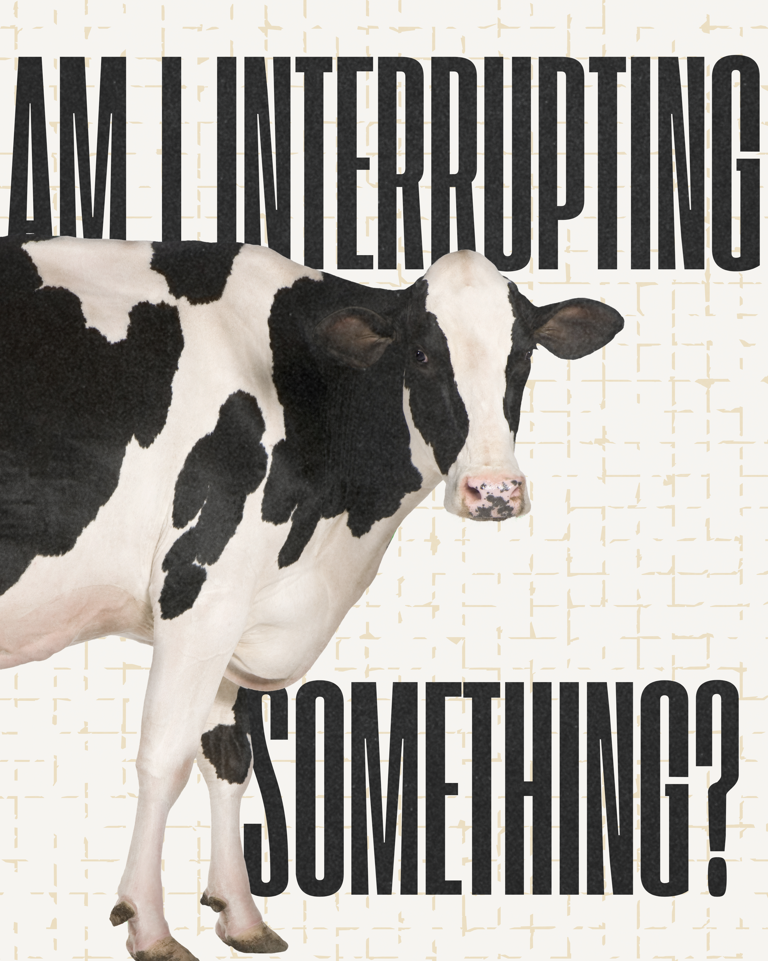 interrupting cow art print