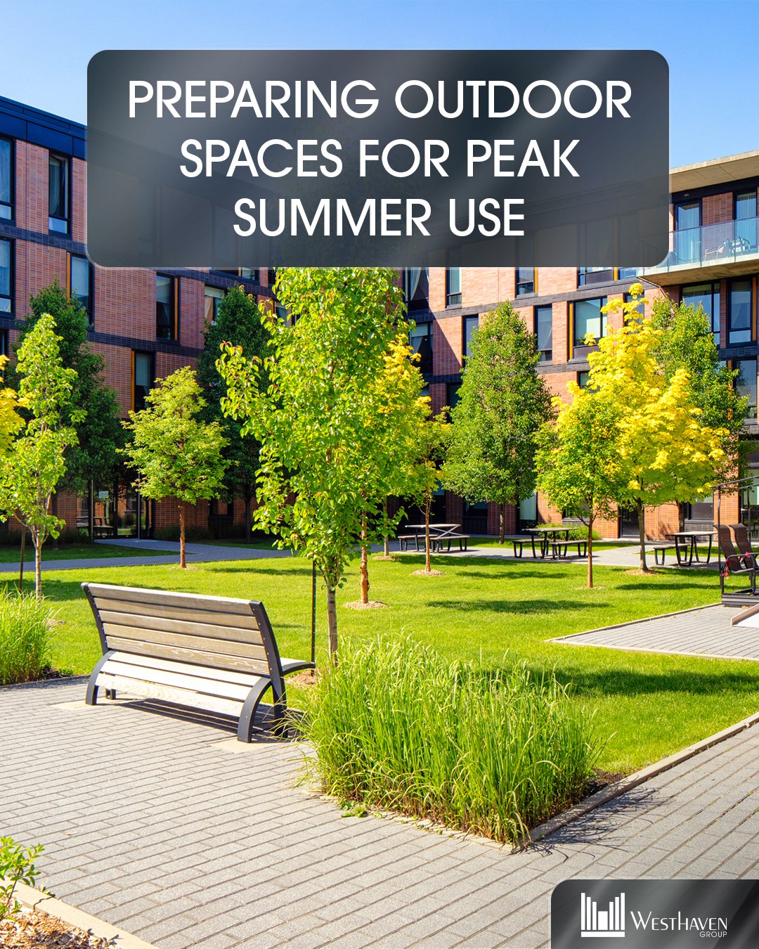 Preparing Outdoor Spaces for Peak Summer Use