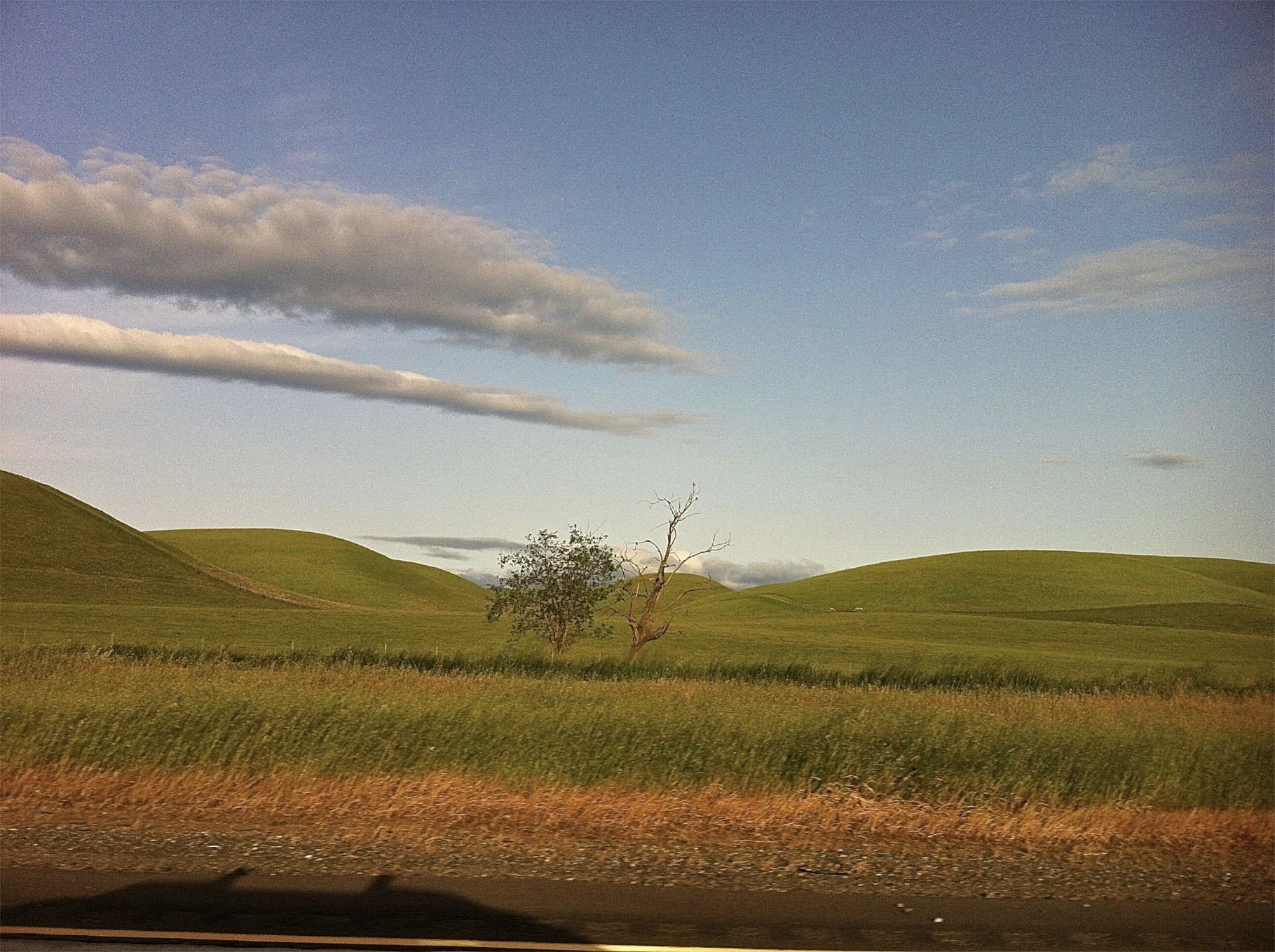 904463_10200981997700212_931728600_o.jpg