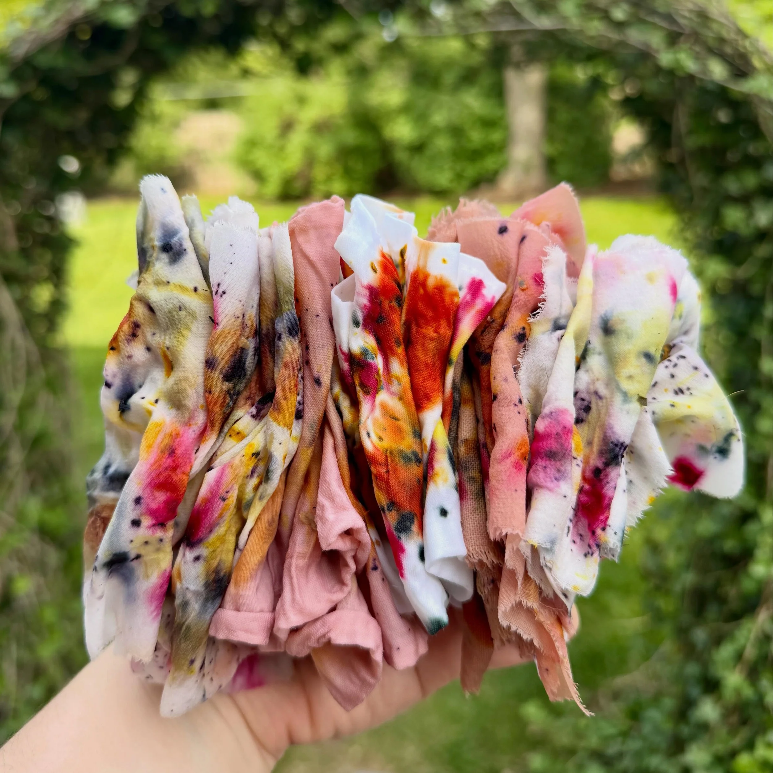 June colors from the garden ✨🌈🌼 I love how natural dye serves as a journal of sorts, marking the seasons and phases of life through living color.