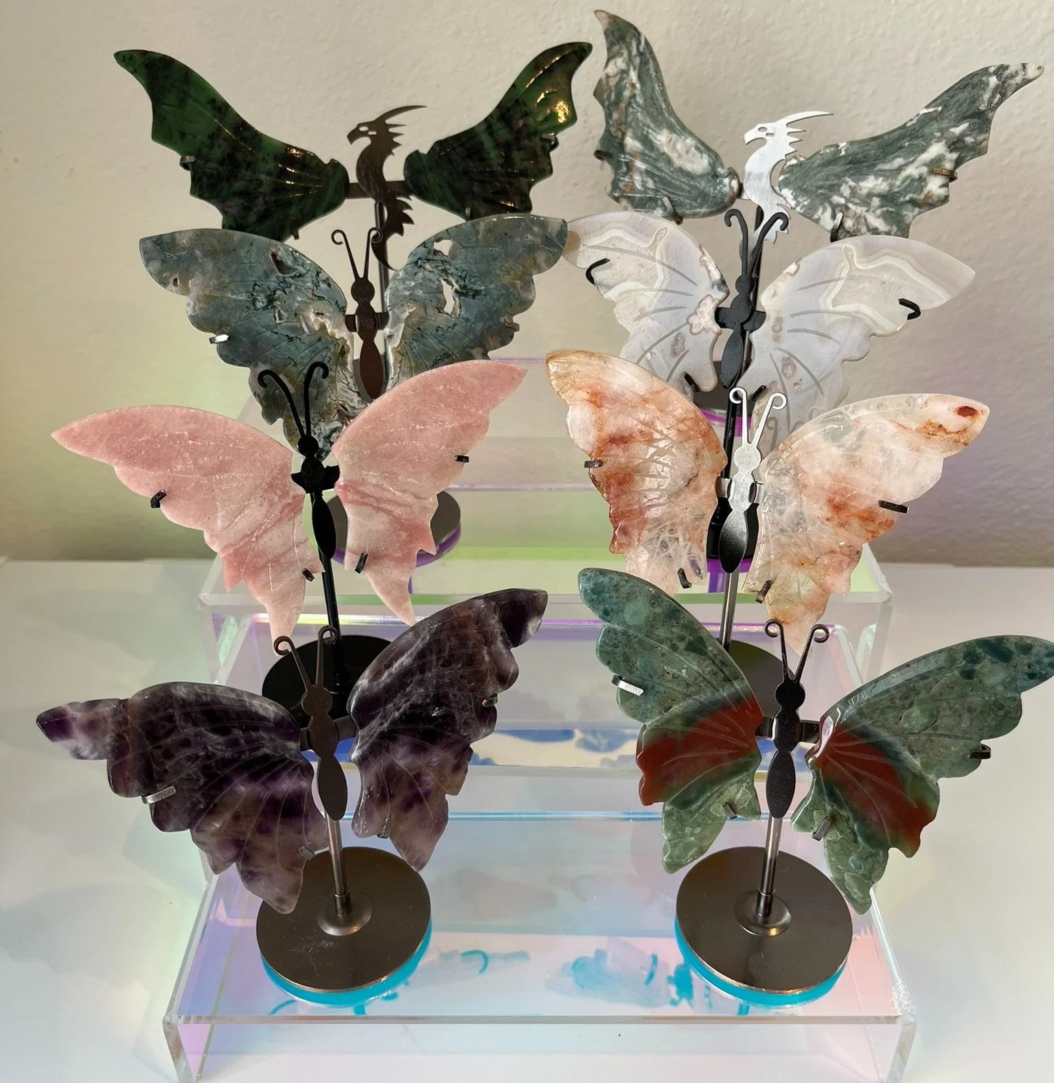 Butterflies.jpeg