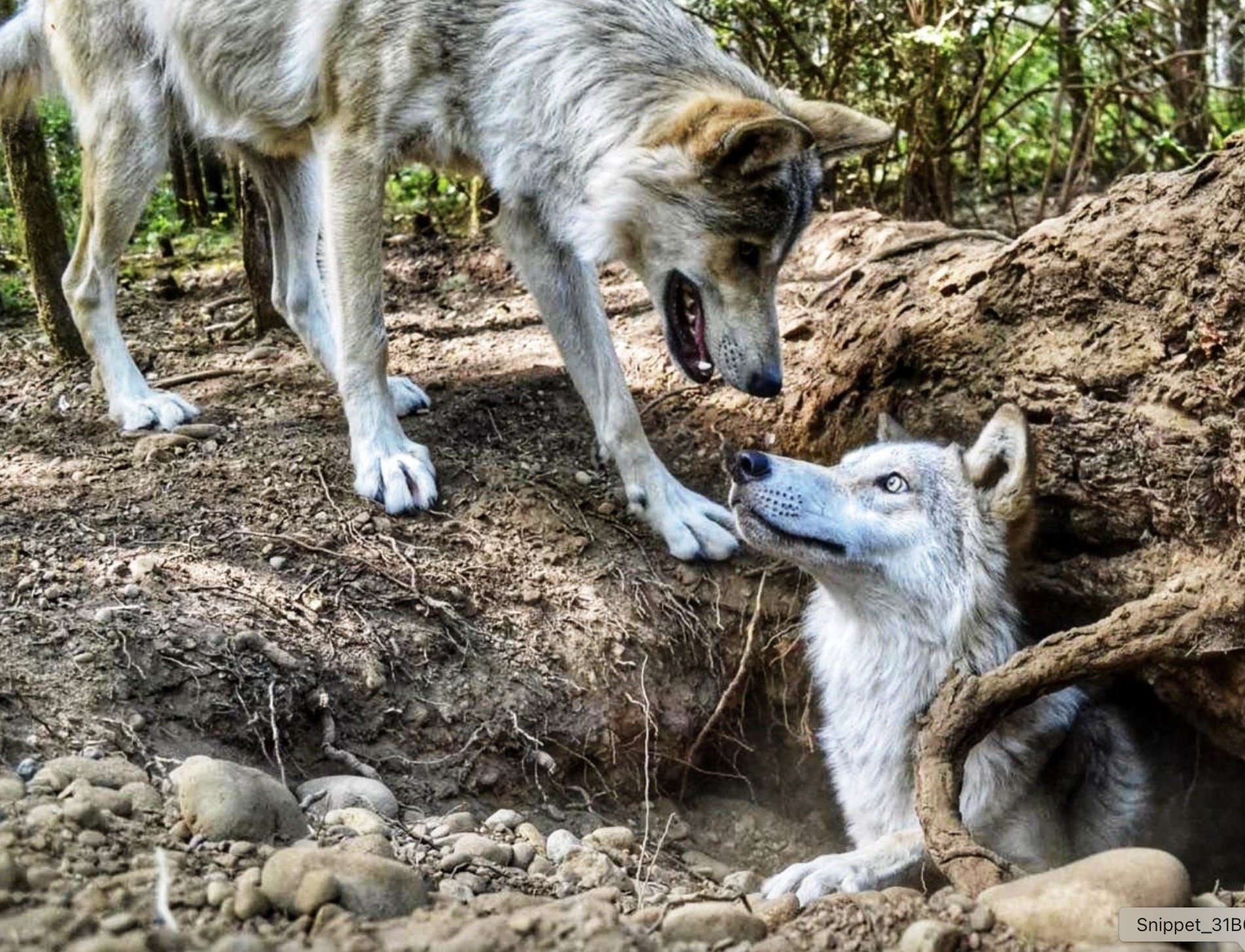 April 23 | Roam in for lunch and learn at the Fjord