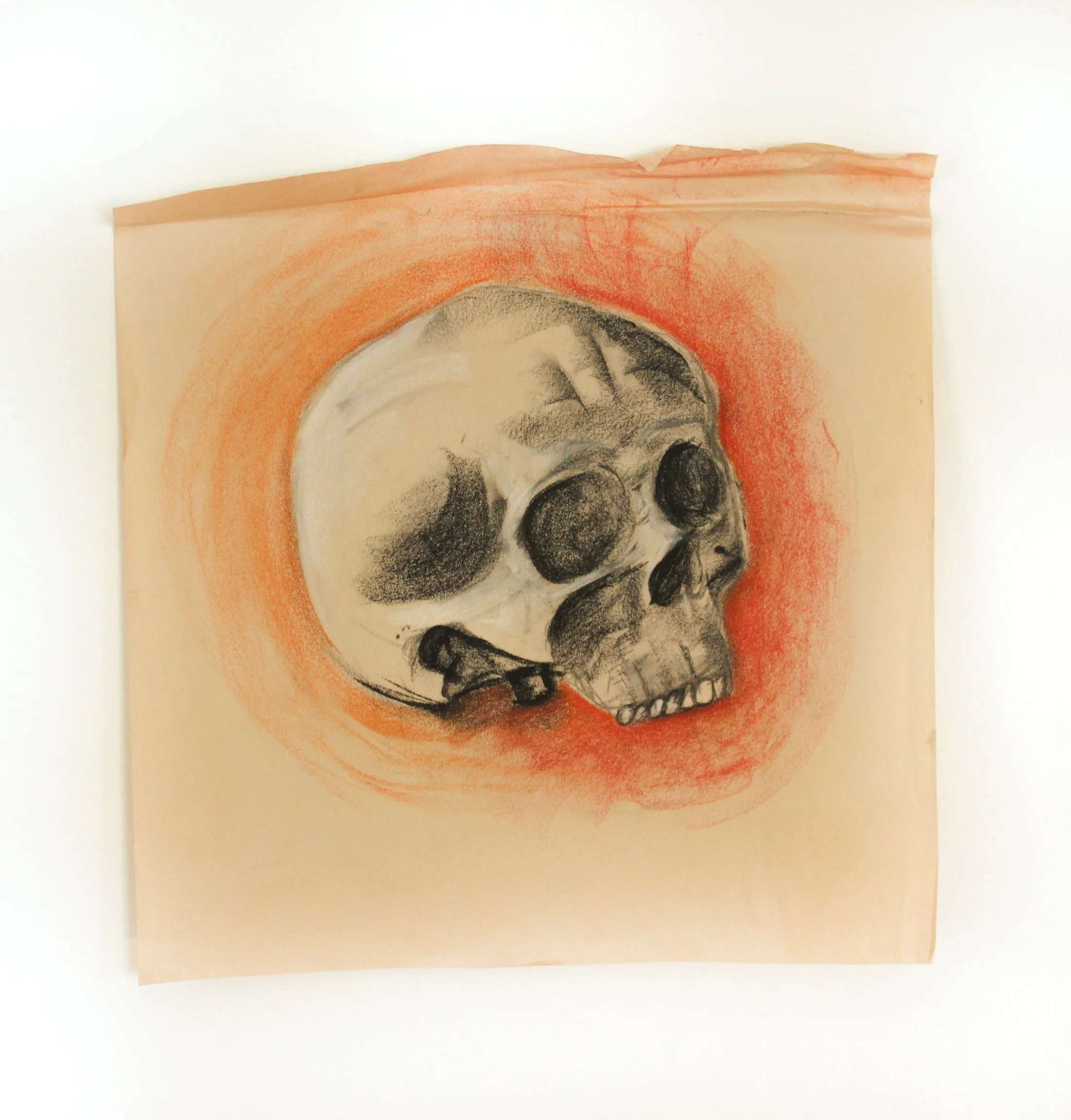 Gestural Anatomical Drawing