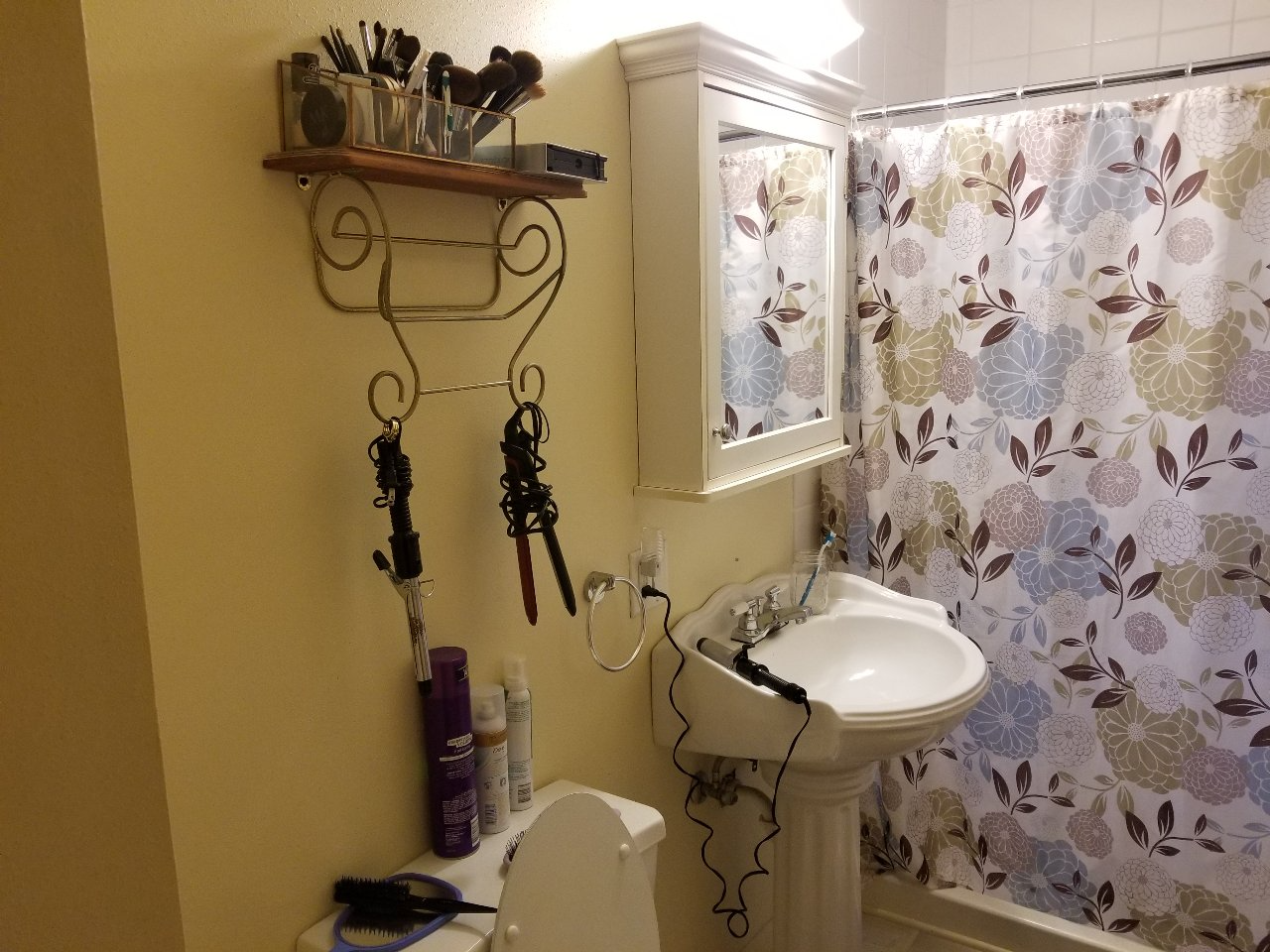 Bathroom Before.png