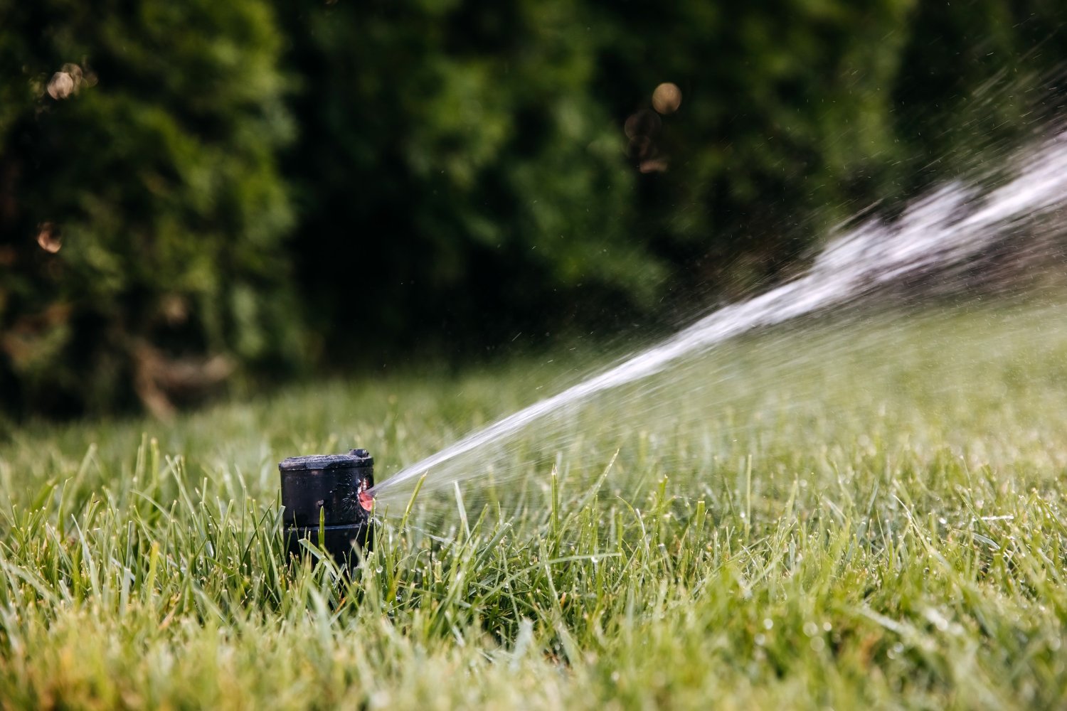 irrigation & plantings unionville tn