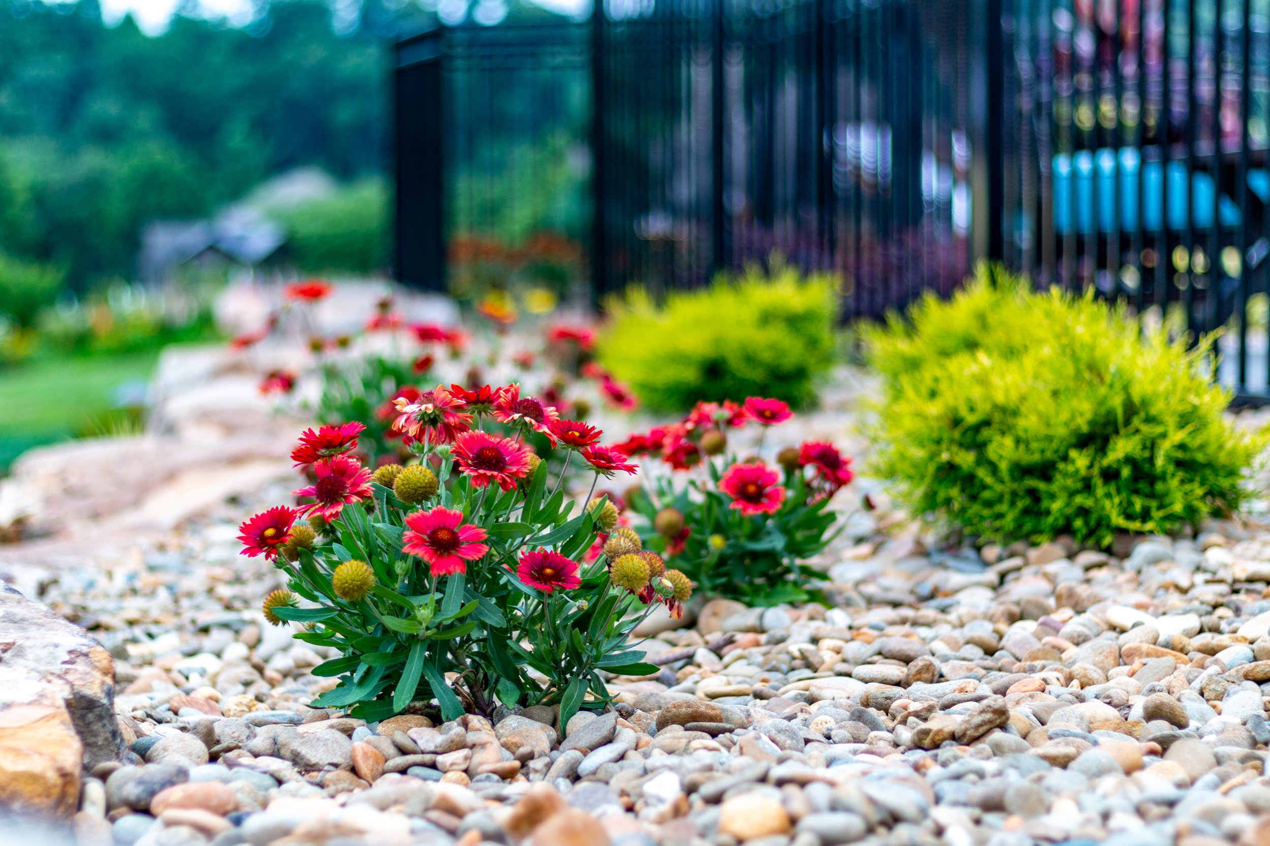 Choosing the Best Plantings for Your Franklin and Arrington, TN ...