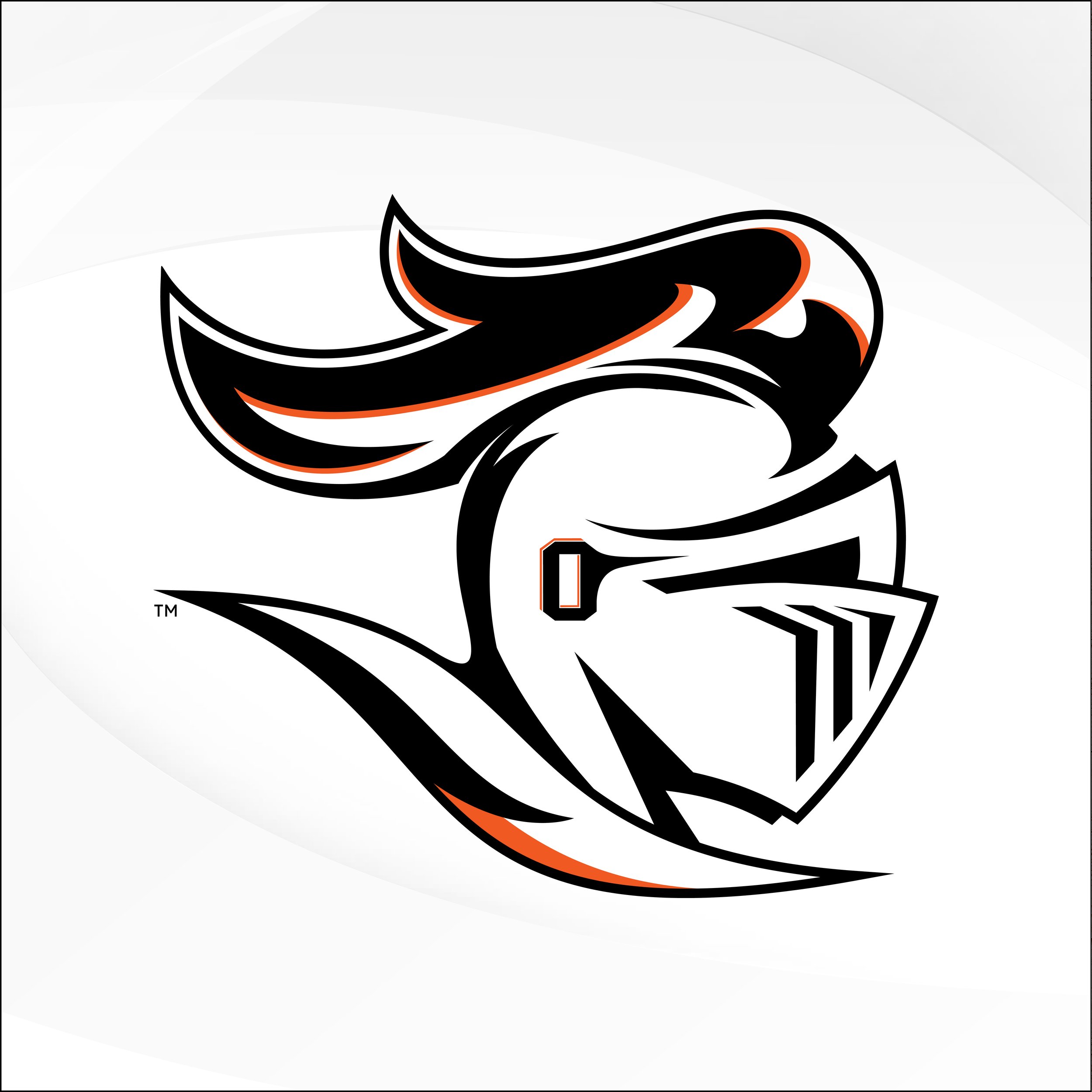 Otsego Local Schools — Ashley Vetter Design