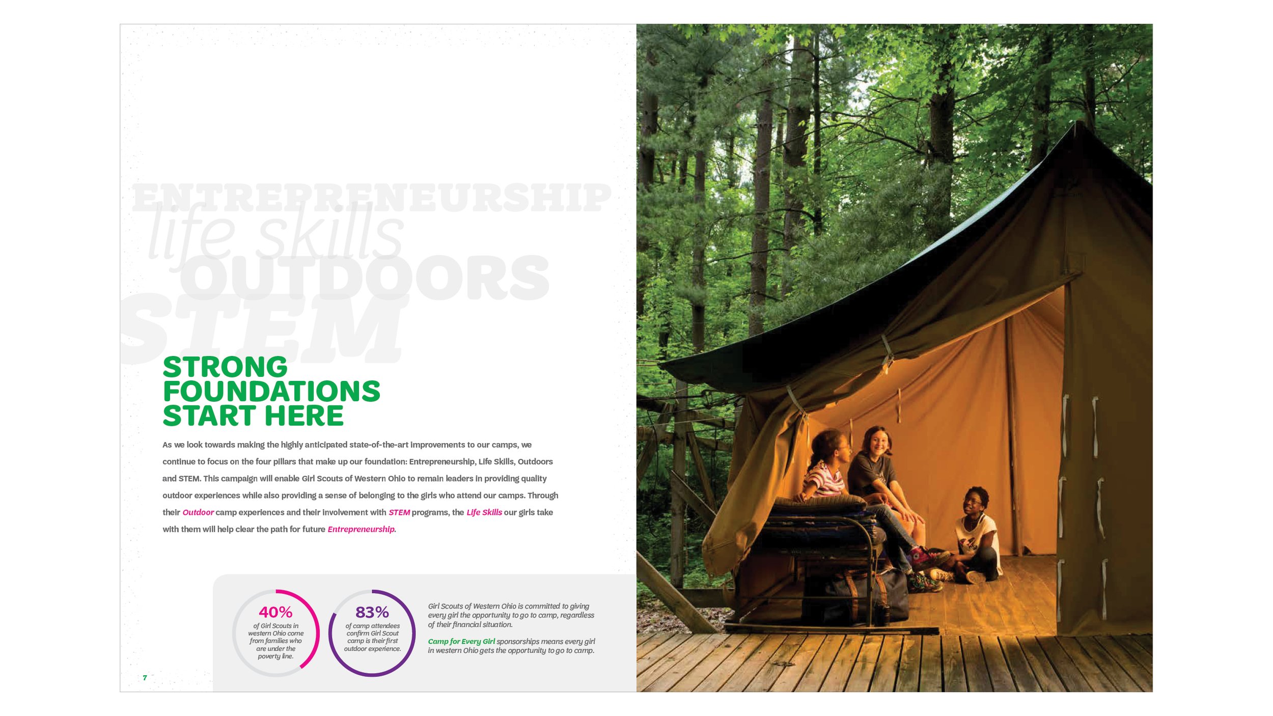 GirlScoutWeb6.jpg