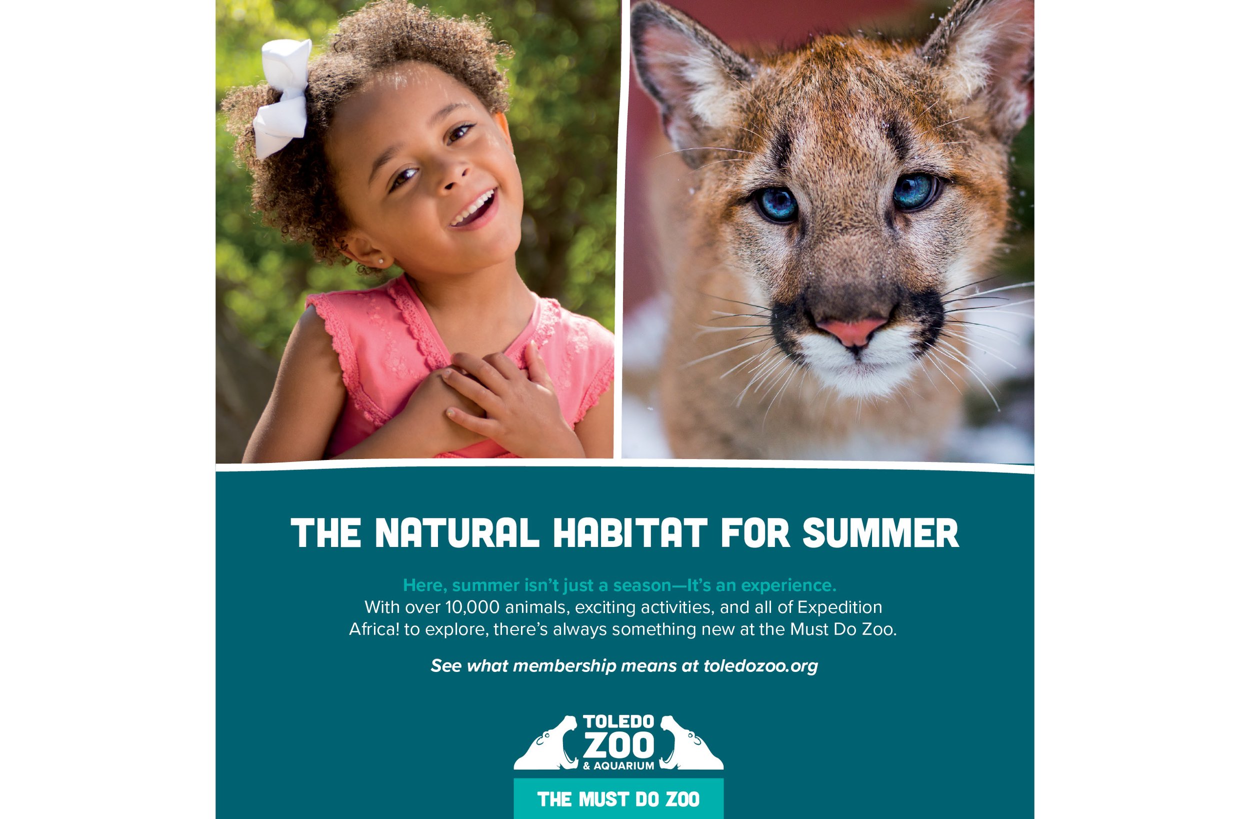 fullpage_print_cougar.jpg