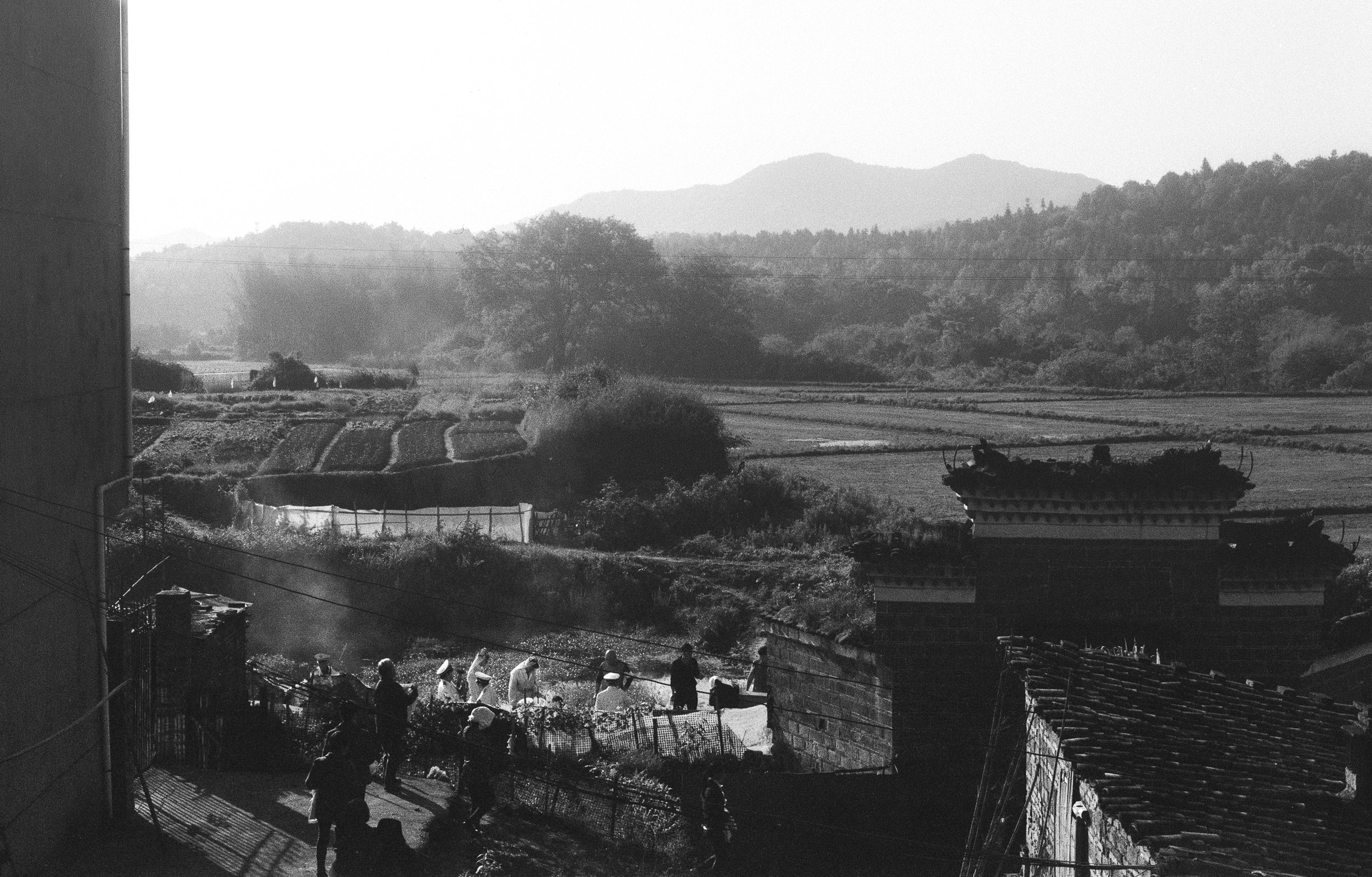 Jiangxi Province, 2020, 35mm film
