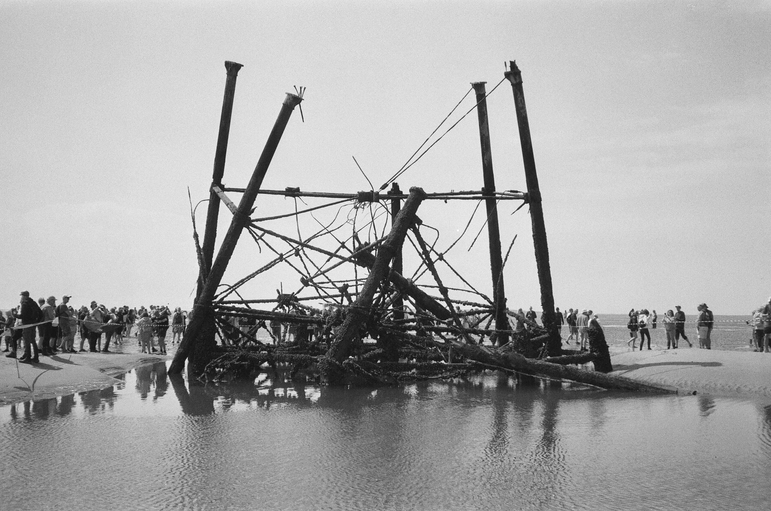 961390850008.jpg