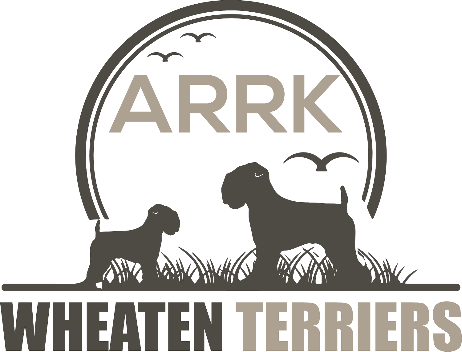 ARRK Wheaten Terriers