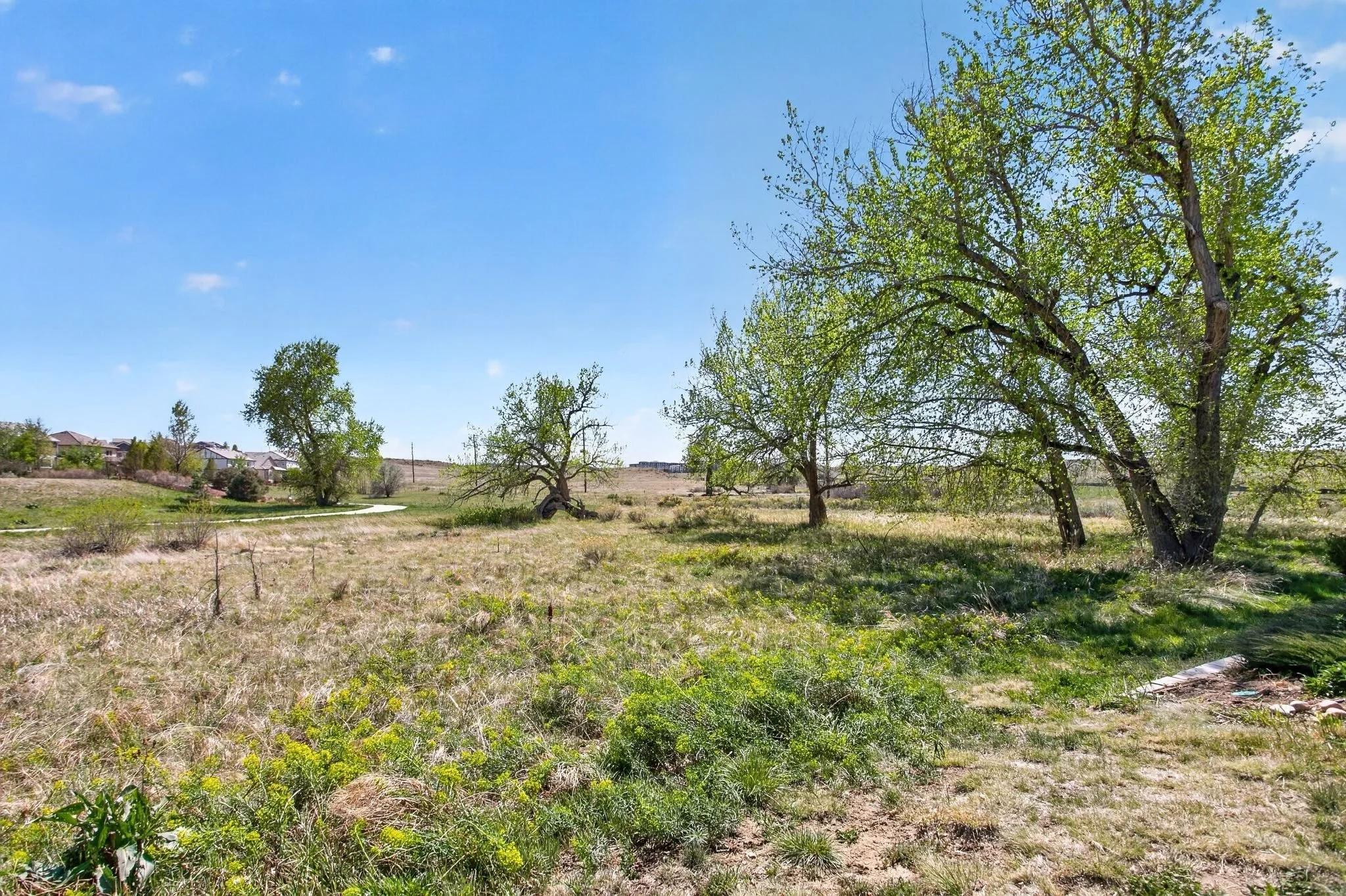 10310 Tall Oaks Circle Parker-print-049-050-0049-2048x1364-300dpi.jpg