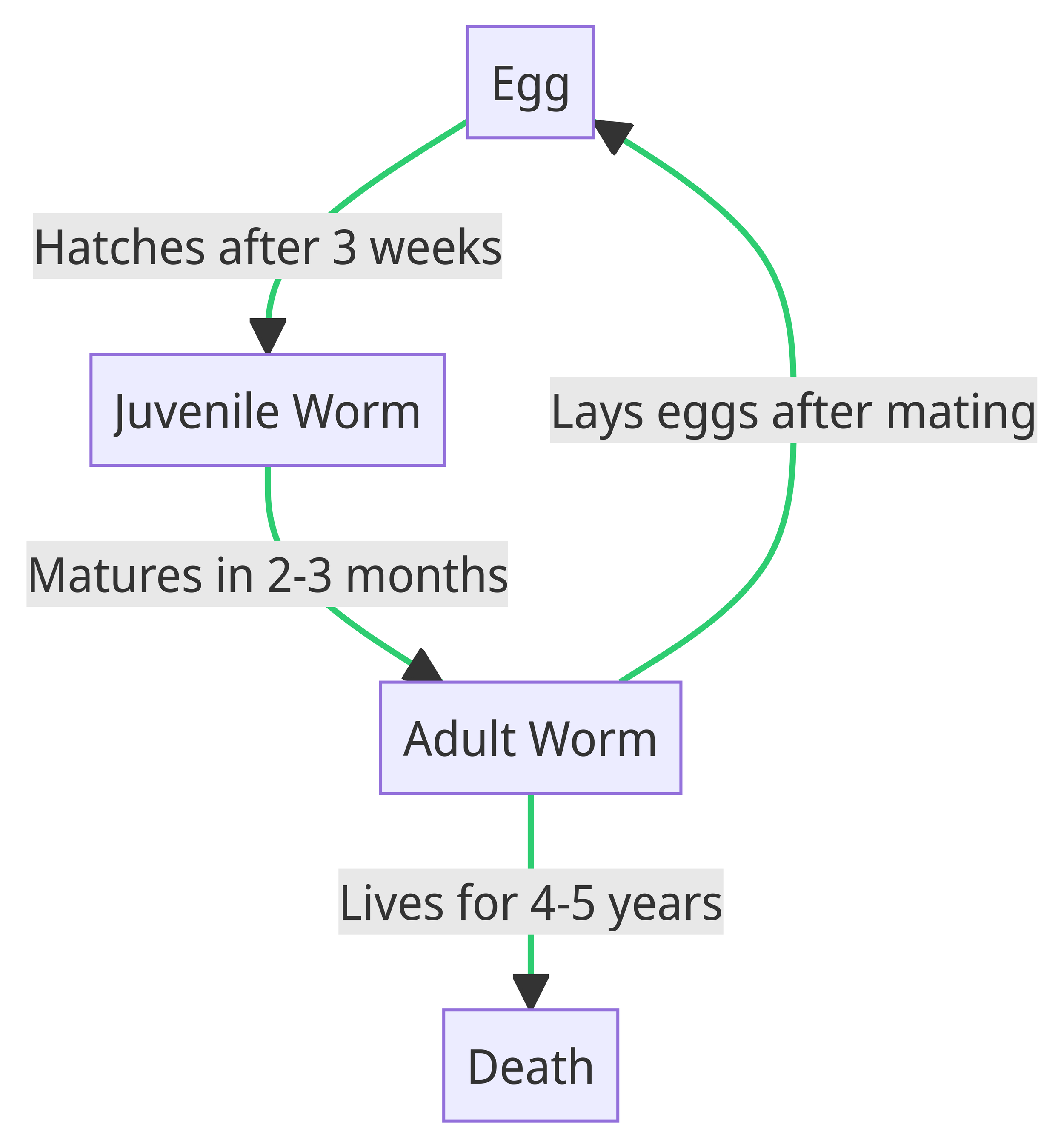 How Fast Do Red Wigglers Reproduce? Exponentially! — Regenerative Soil