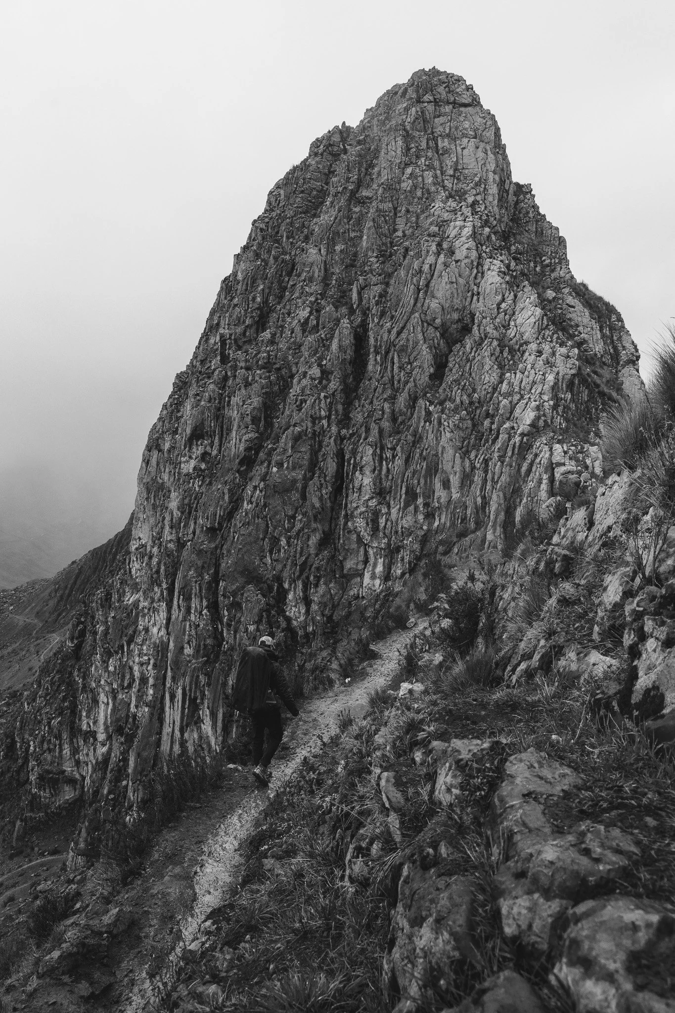 DSC08681-2.jpg