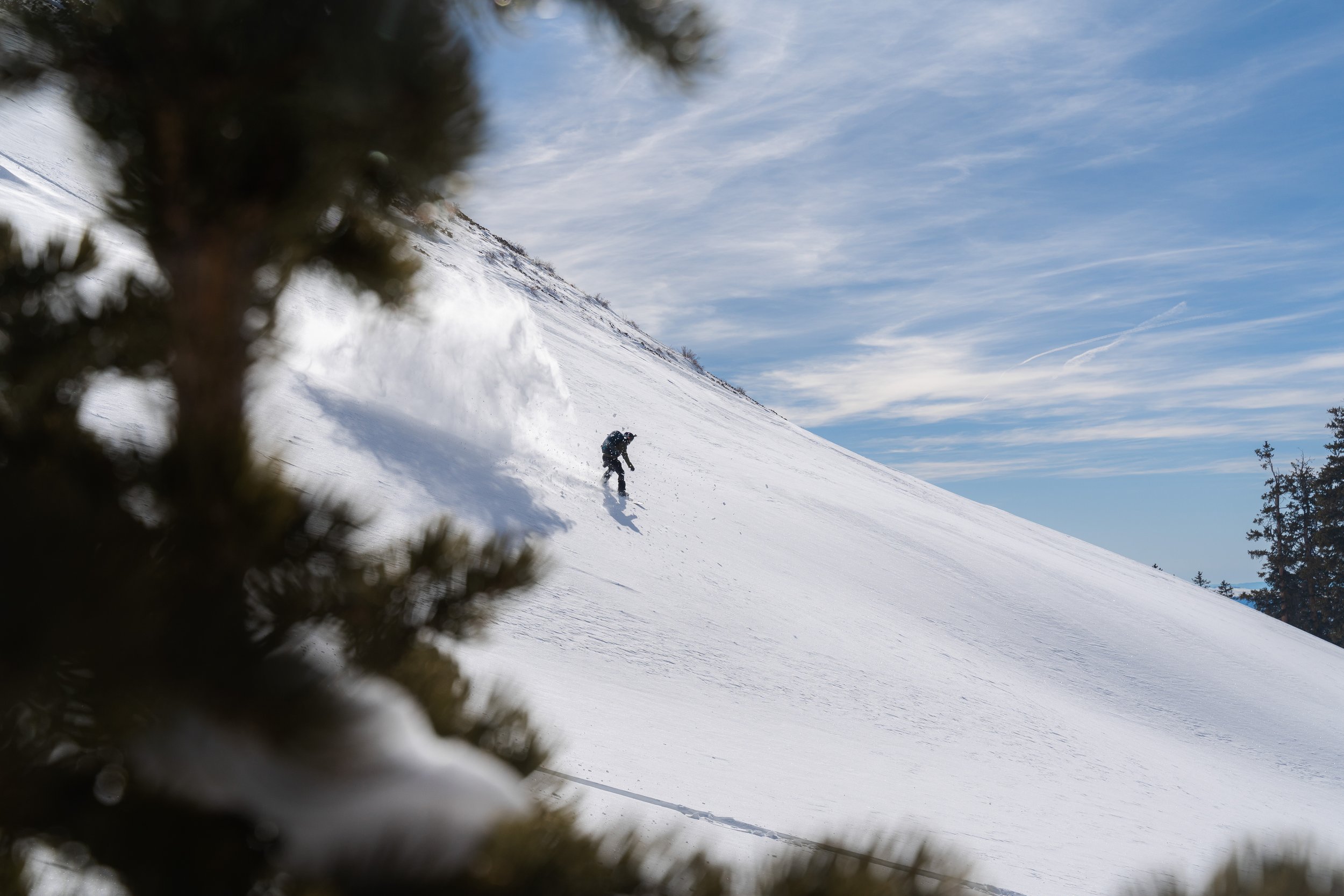 A person snowboarding down a snow-covered slope on a bright, partly cloudy day, with trees in the background and a tree branch in the foreground.
