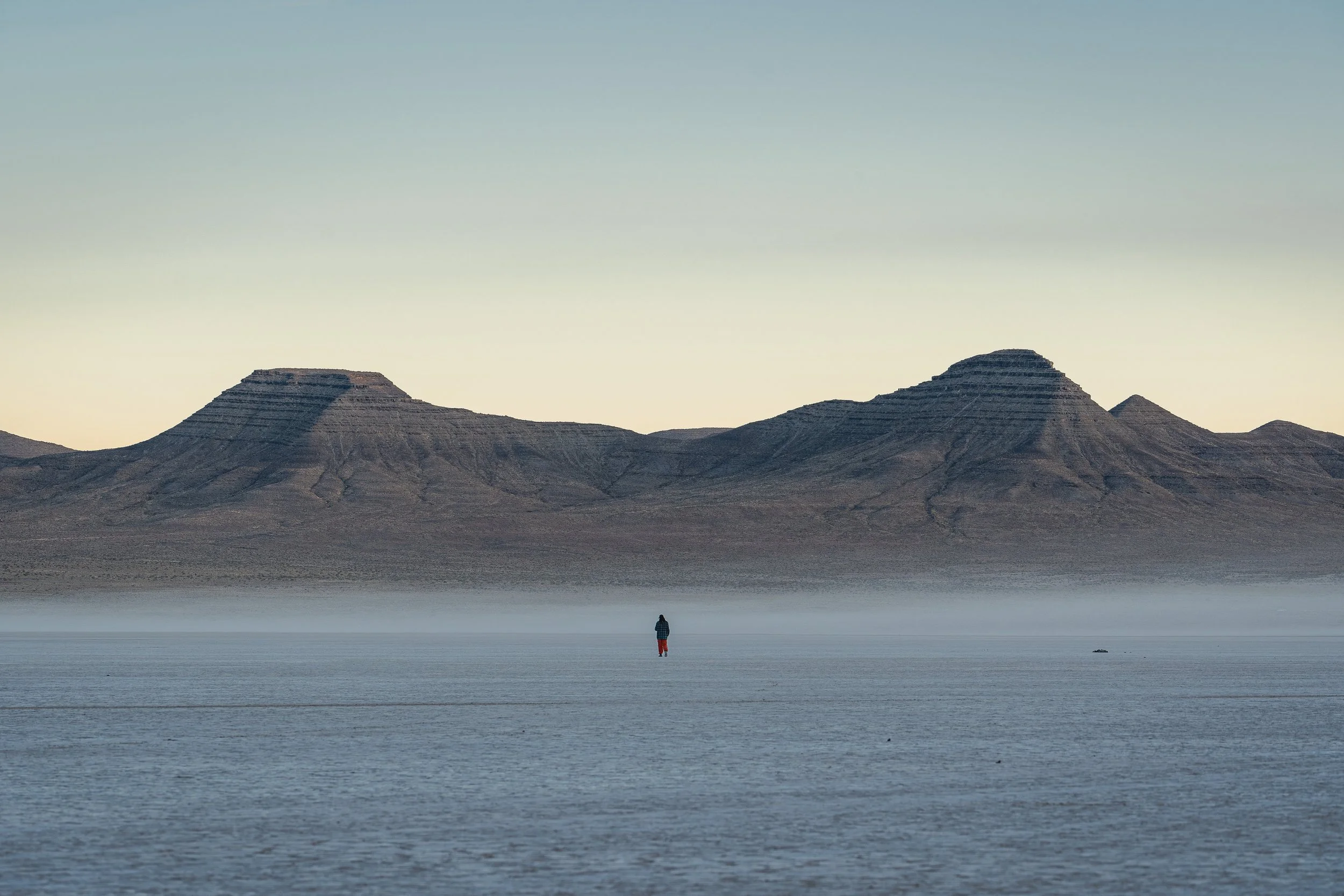 A person standing alone on a vast icy plain with mountains in the background and a pale sky overhead.