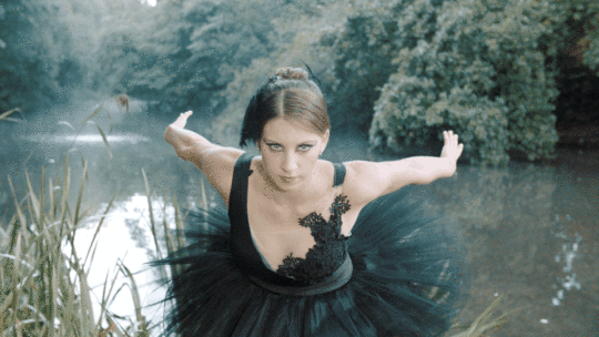 Swanettes 6.gif