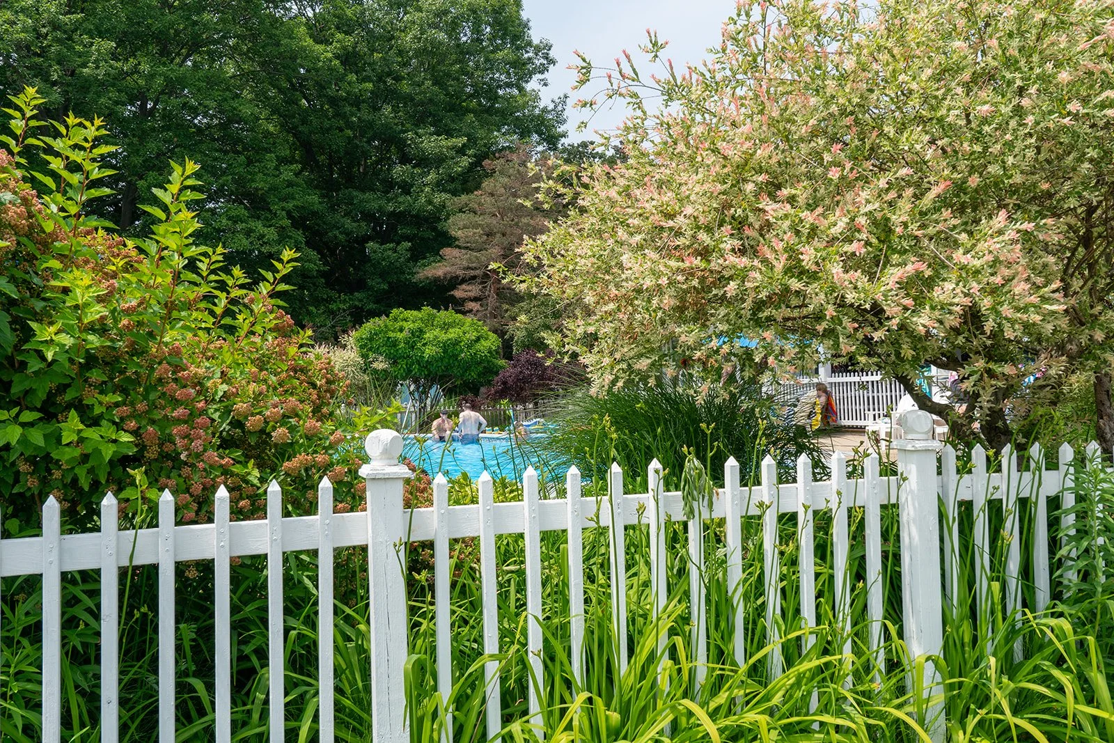 Saugatuck Vacation Rental, Airbnb, VRBO, art coast properties, vacation rental with hot tub, short term rental saugatuck, South Haven vacation rental, vacation rental with pool