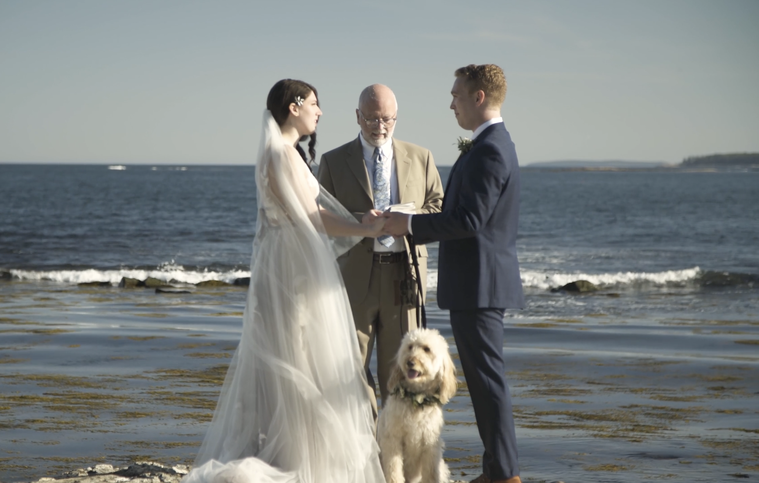 Screenshot 2023-01-12 at 10.17.52 AM.png