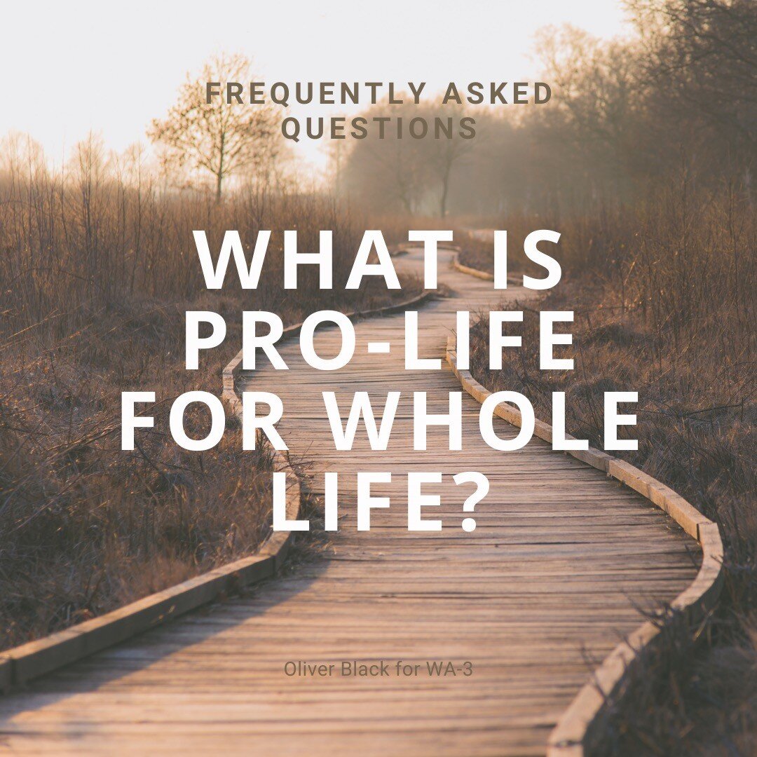Life is a gift. It is worthy of protection. Many candidates who claim to be pro-life focus on ending or reducing abortion. While this is admirable and desirable, most seem to stop there. Life needs to be protected from conception through natural deat