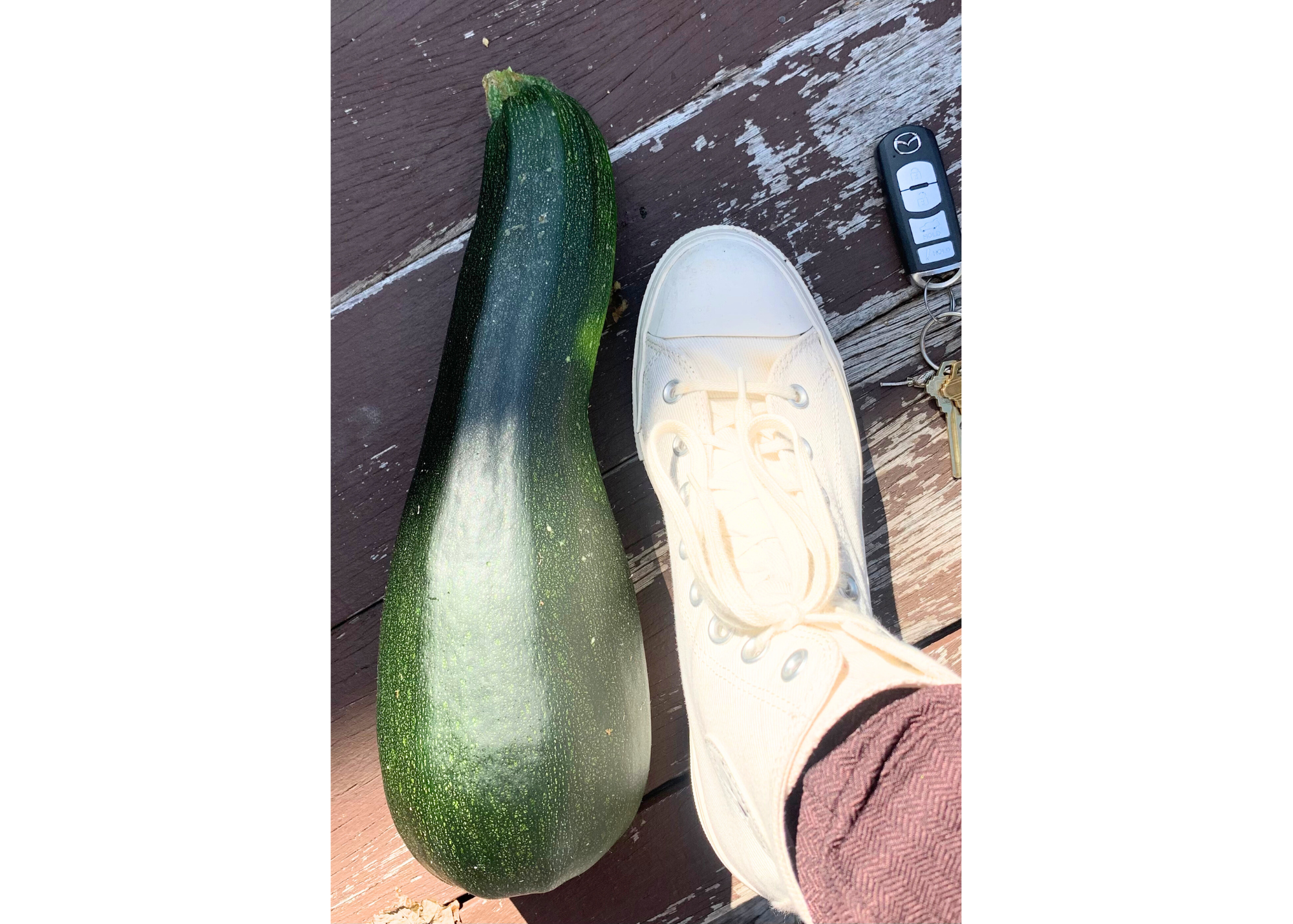 Lesson from a Zucchini