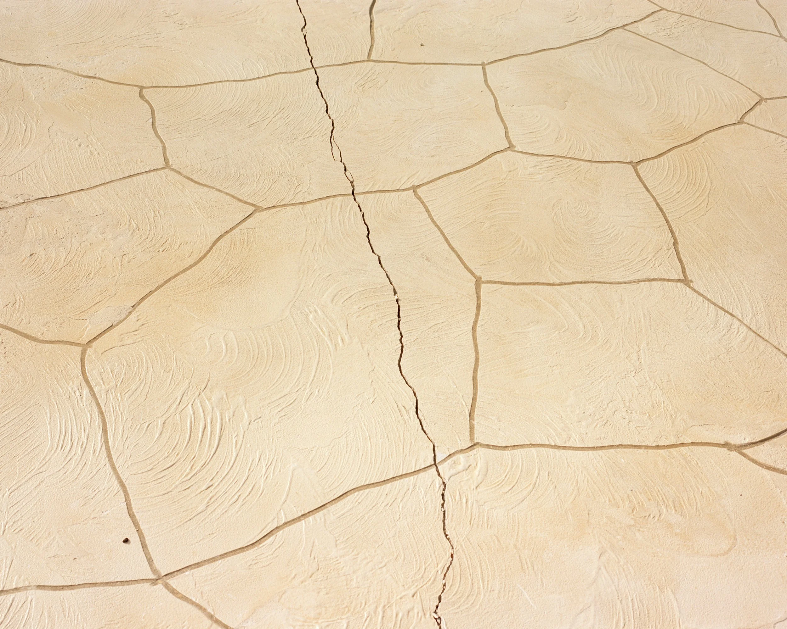 flo 6-Edit-Edit-Edit.jpg