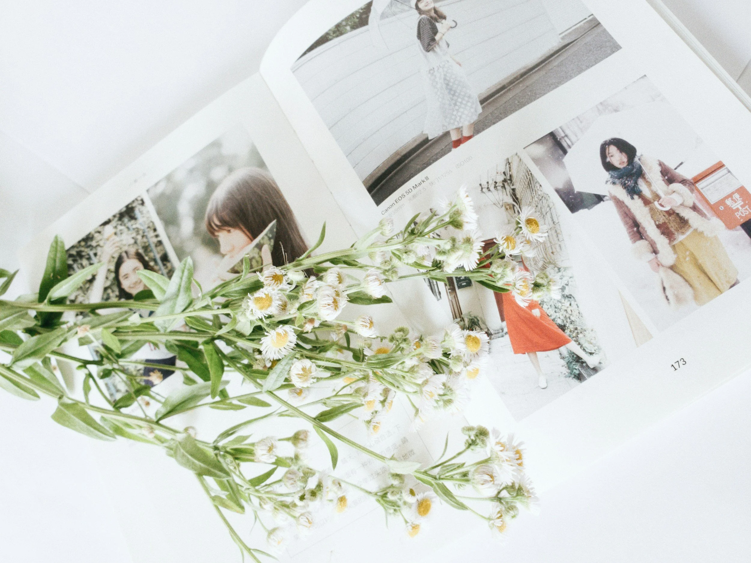 Open book with floral photos and white flowers resting on top