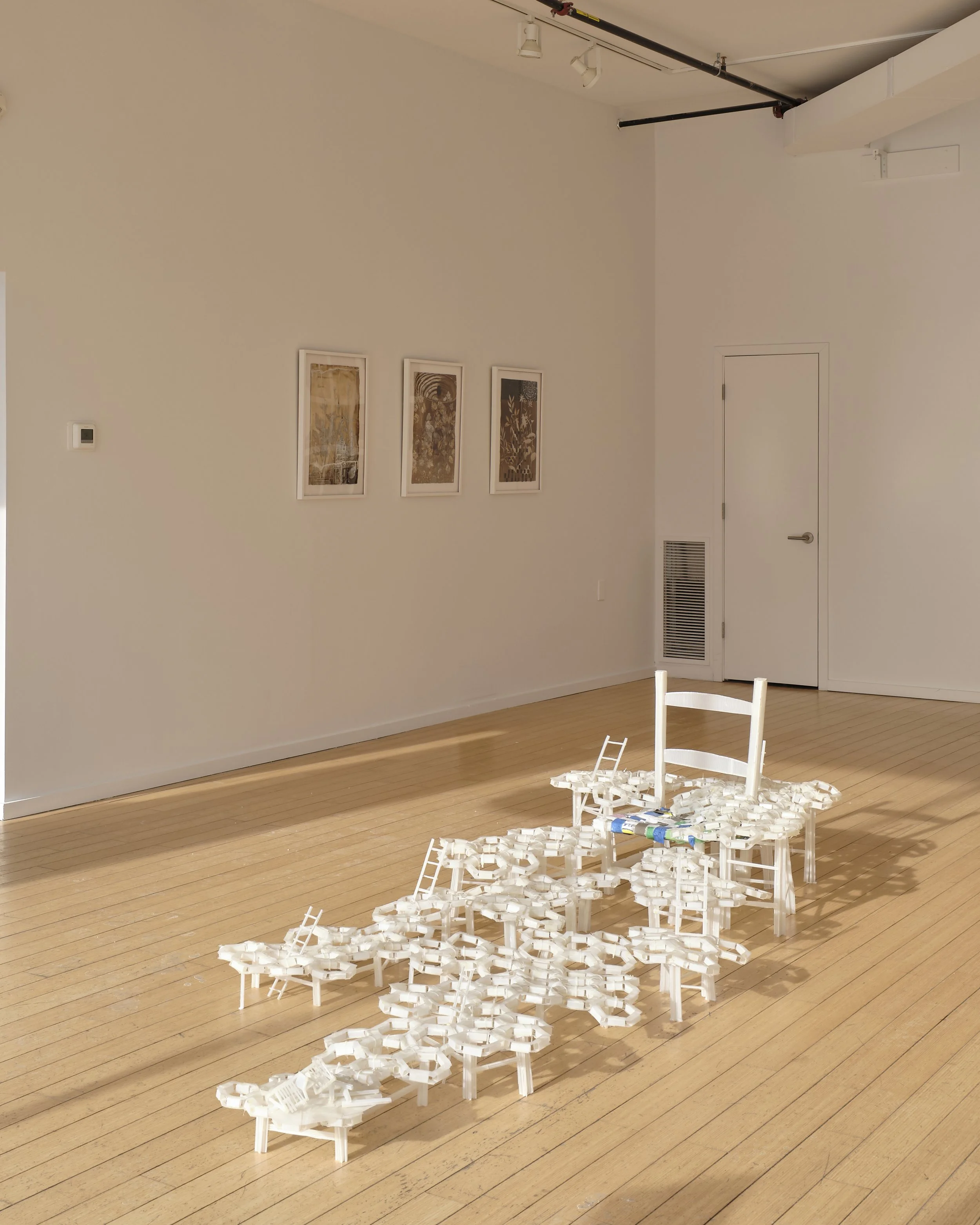 20260121_CAS_RB_LC_ED_ZH12007 1.jpg