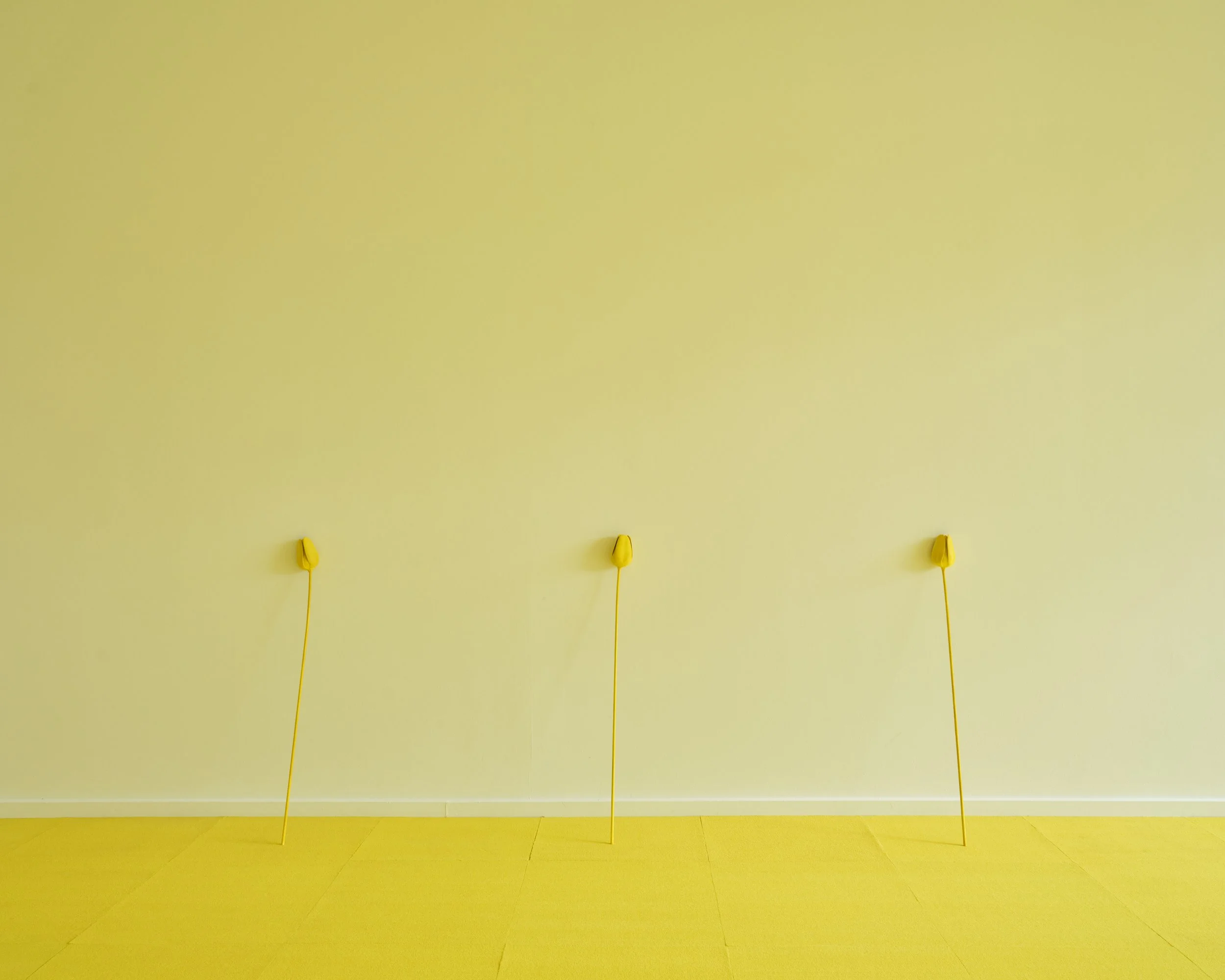 2 -20251104_CAS_MB_KC_LW_INSTALL9384.jpg