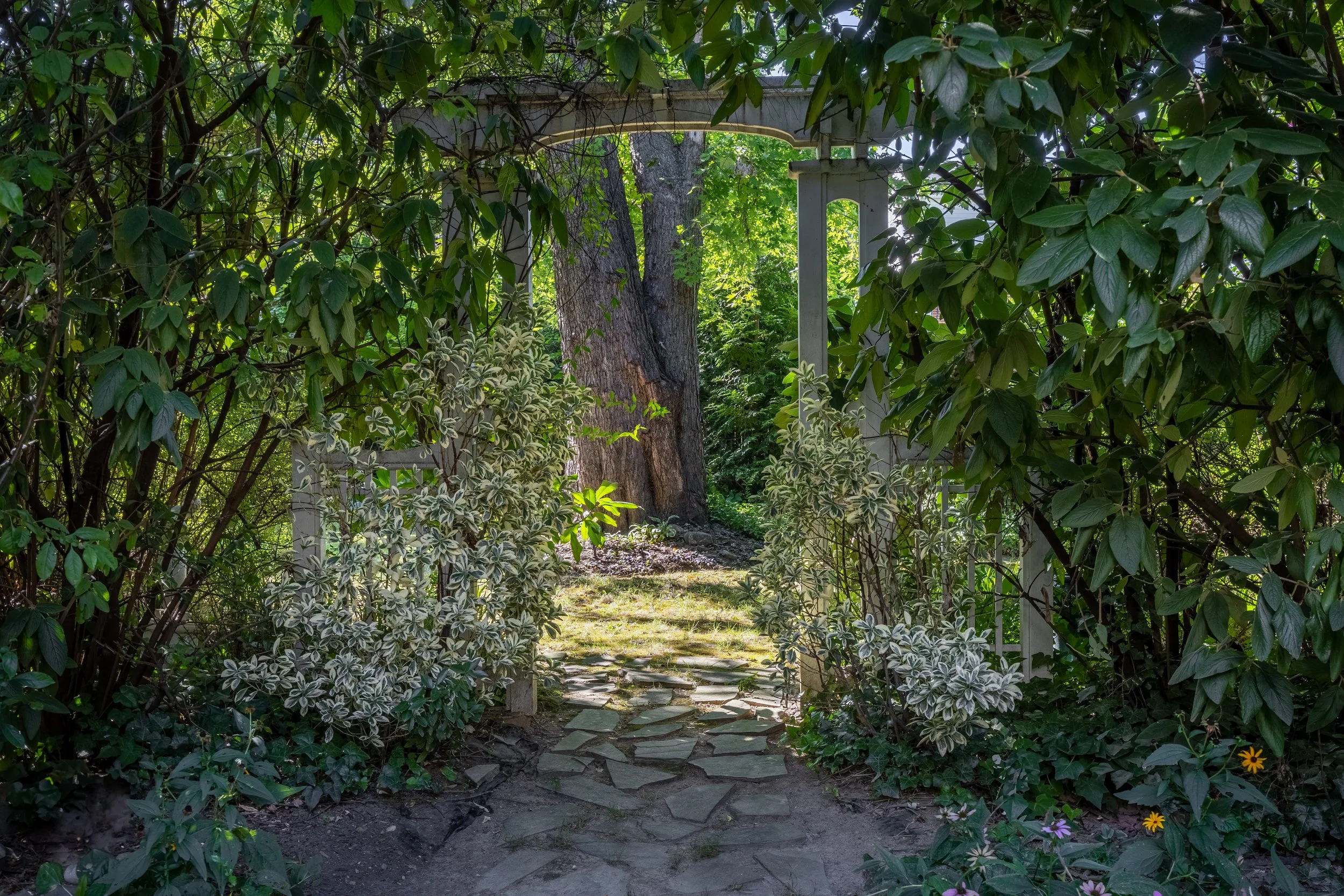 Form Examples Compressed-8.jpg