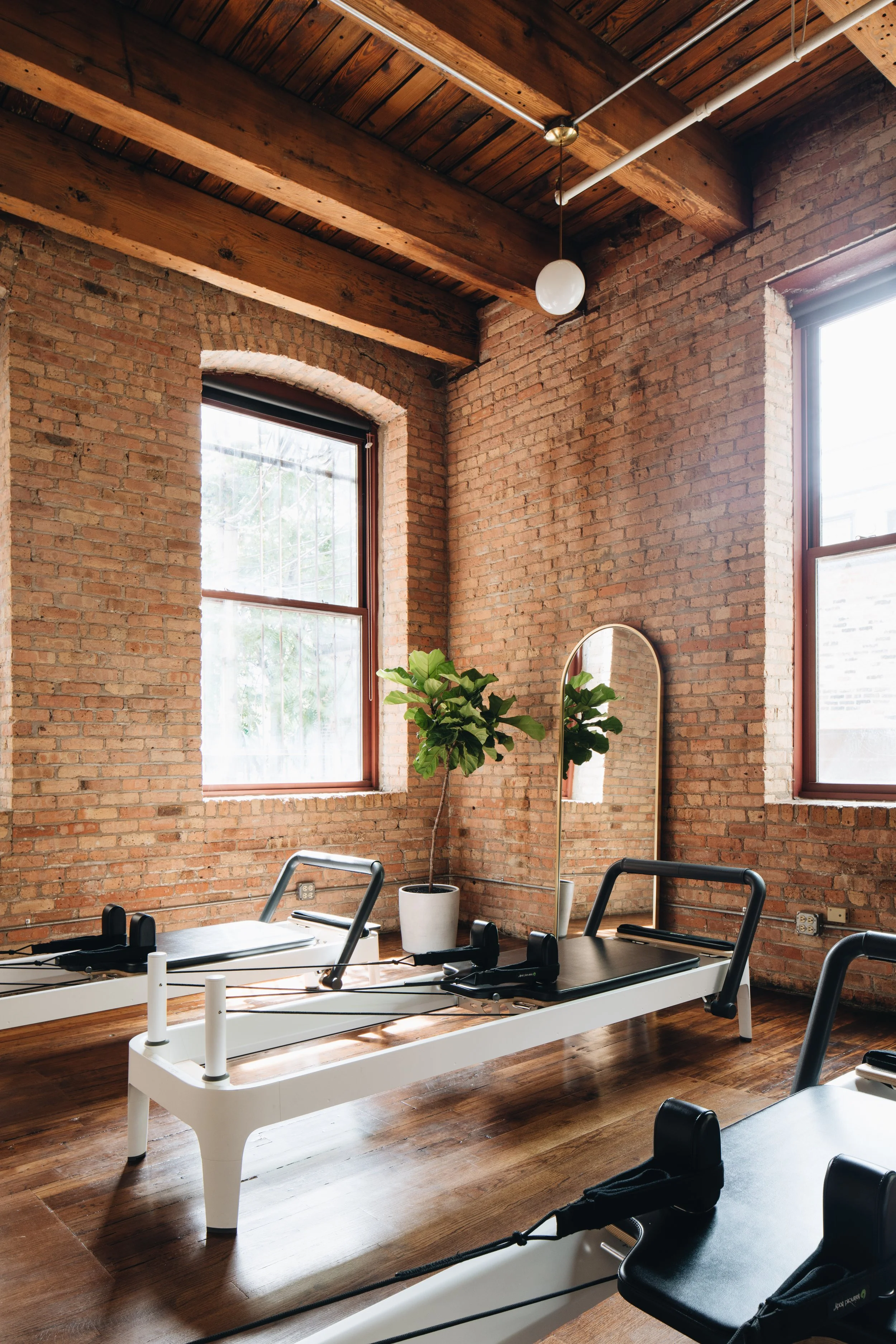 A pilates studio with brick walls, large windows, wooden ceiling beams, and pilates reformers with black padding and metal frames. There is a potted plant and a mirror in the corner.