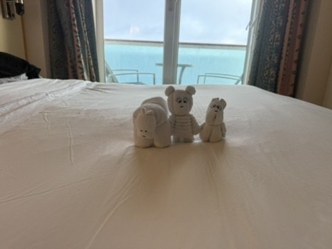 Towel animals waiting in the cabin