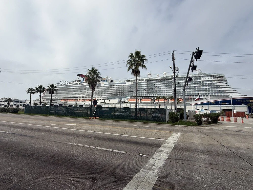 A big cruise ship docked at the Port of Galveston, seen from across the street with palm trees along the fence